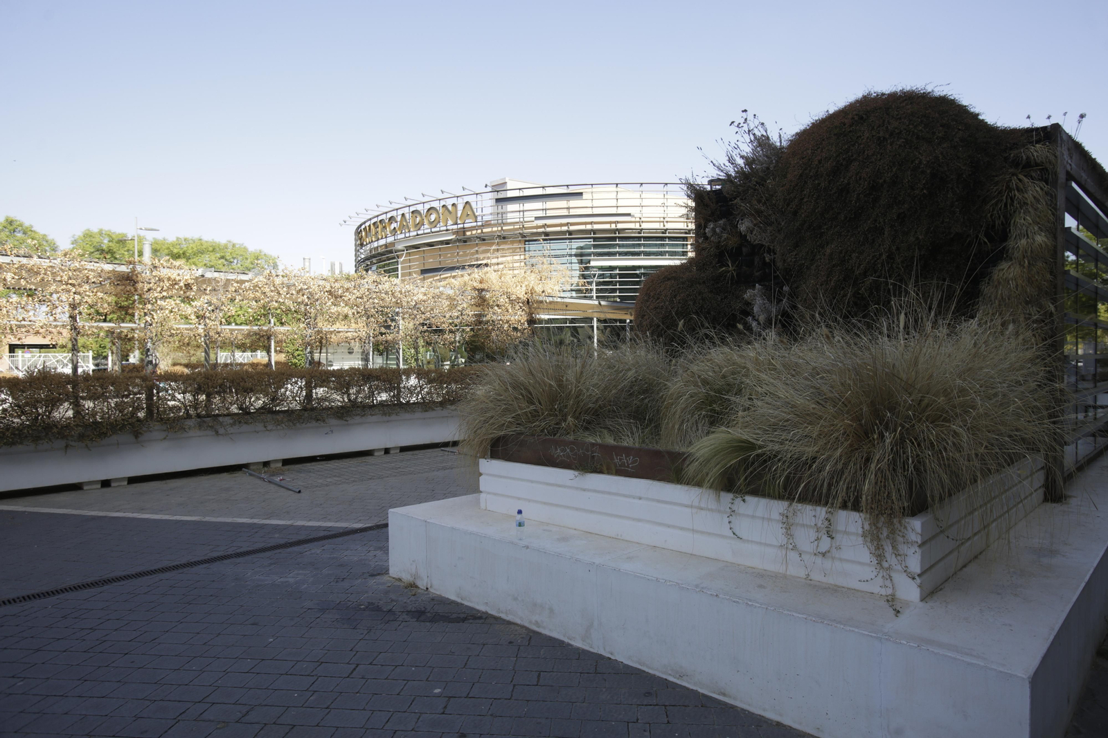 Abandono y mal estado de la plaza entre Mercadona y Plaza de Armas