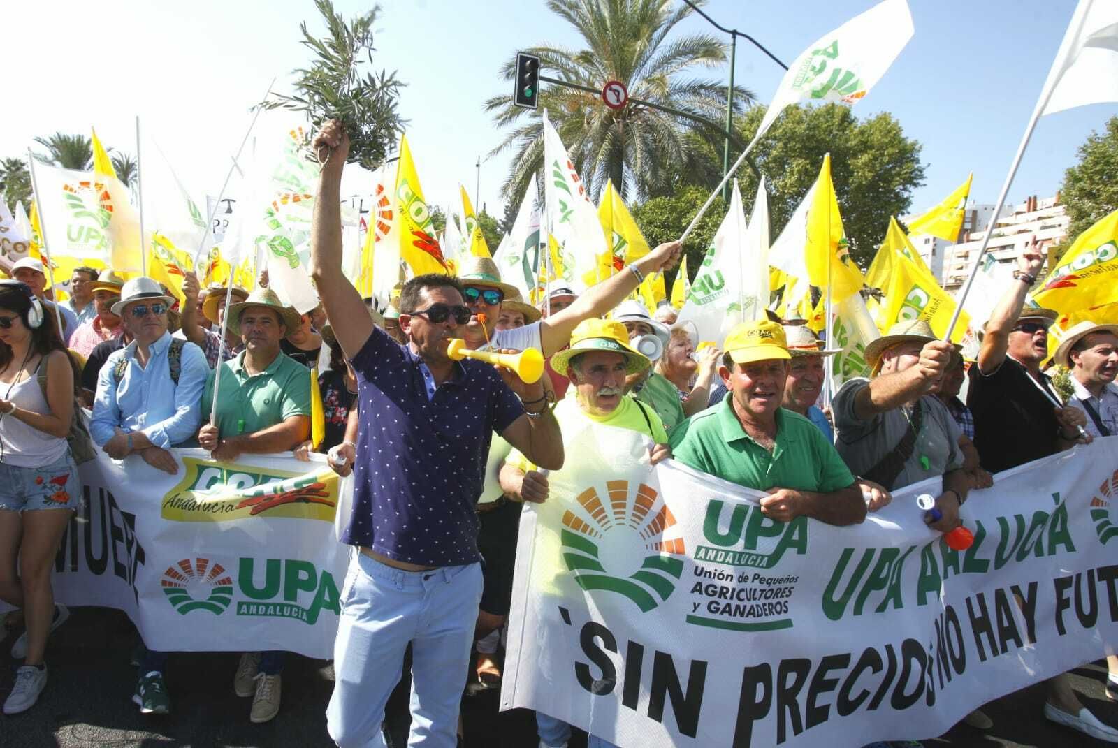 Agricultores de toda Andalucía se manifiestan en Sevilla por los precios del aceite.