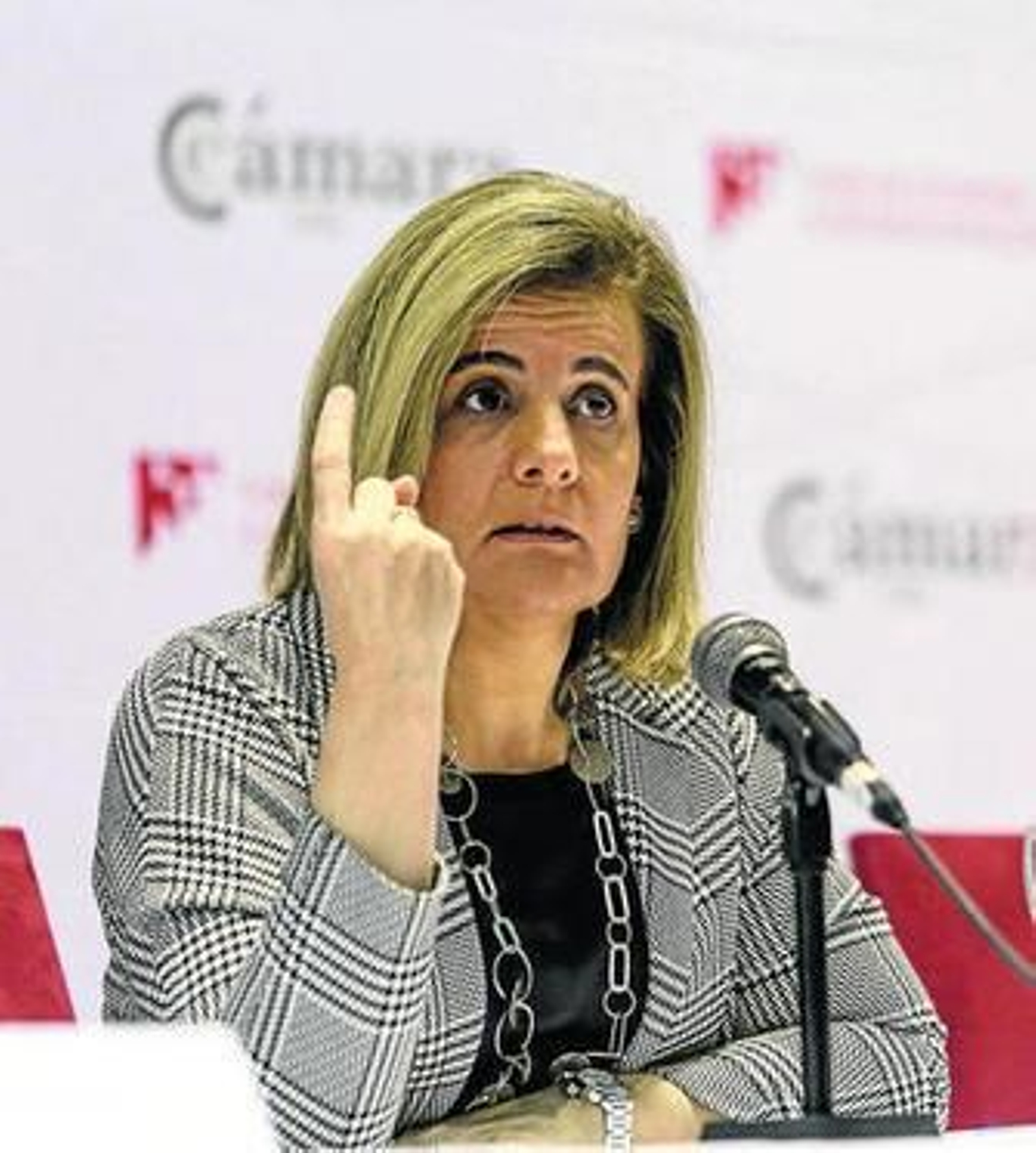 Fátima Báñez, el lunes durante una conferencia en Cádiz.