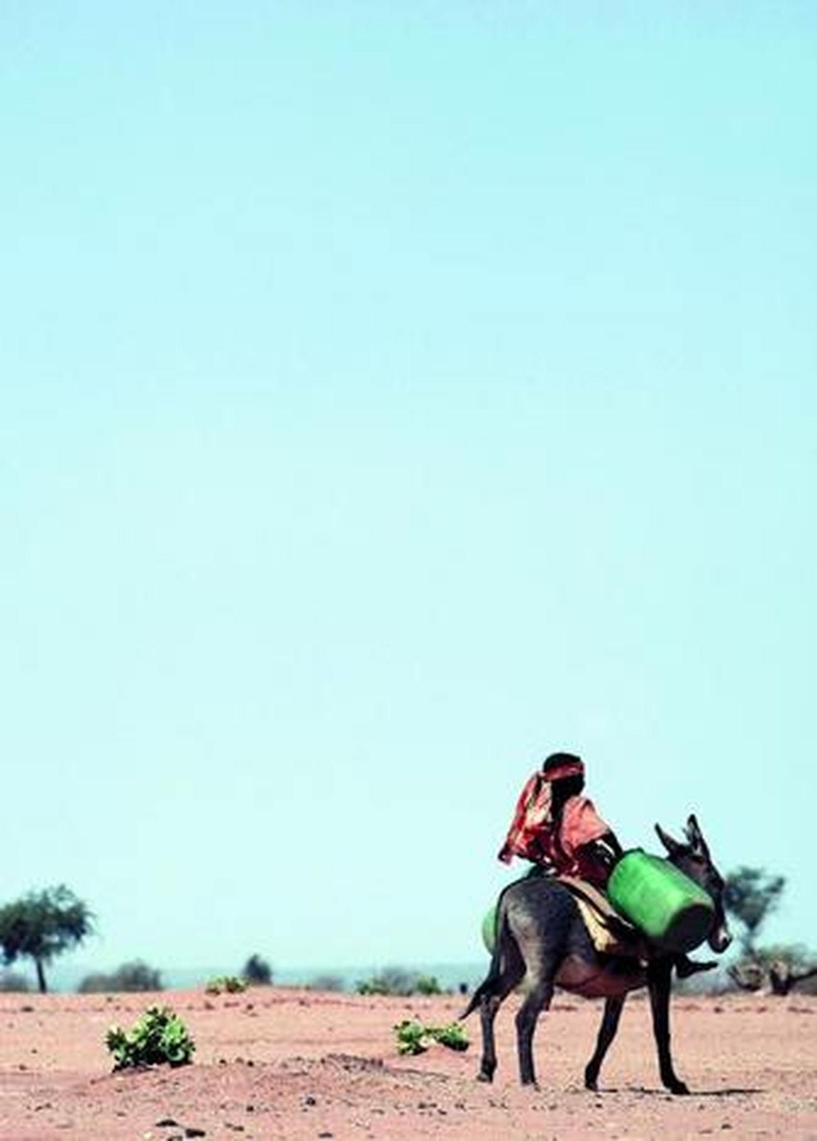 Un joven nómada en busca de agua en Darfur (Sudán).