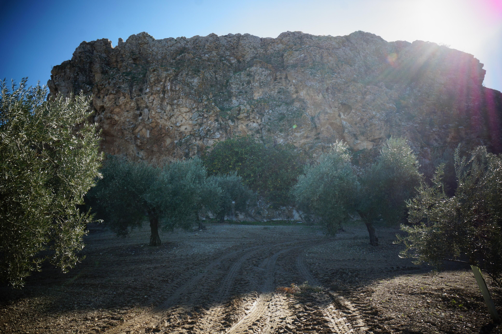 Piedra Luenga, la mole rocosa de Montilla, en fotografías