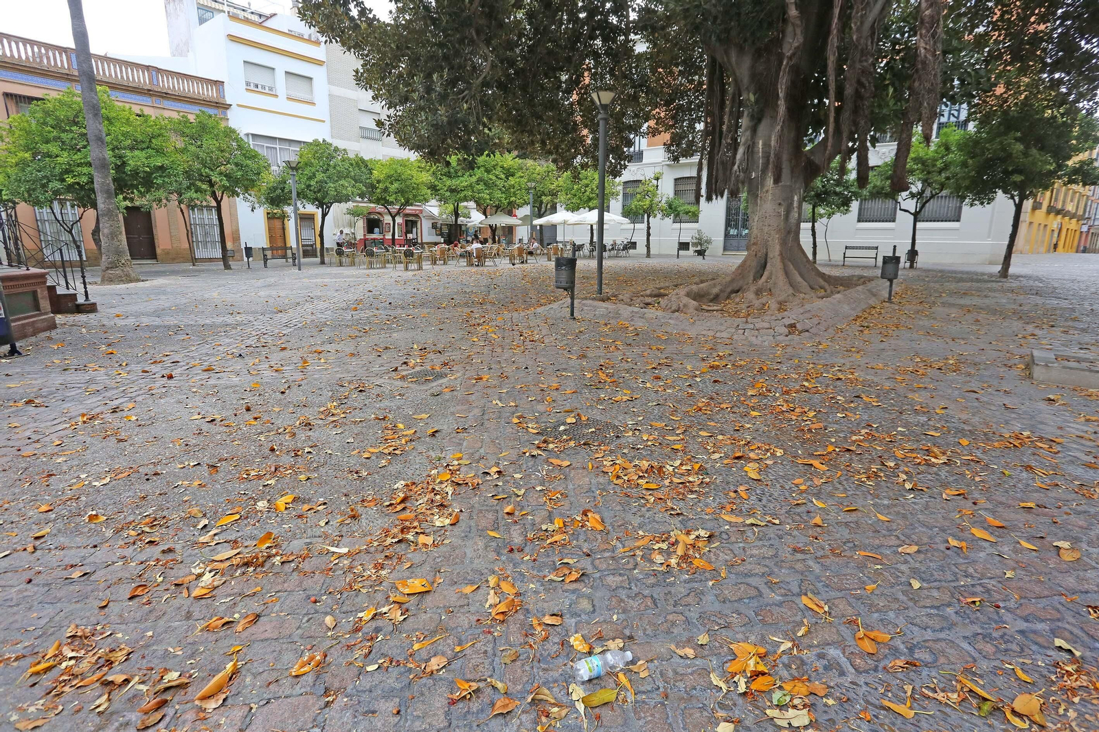 Agenda de actos para el fin de semana
