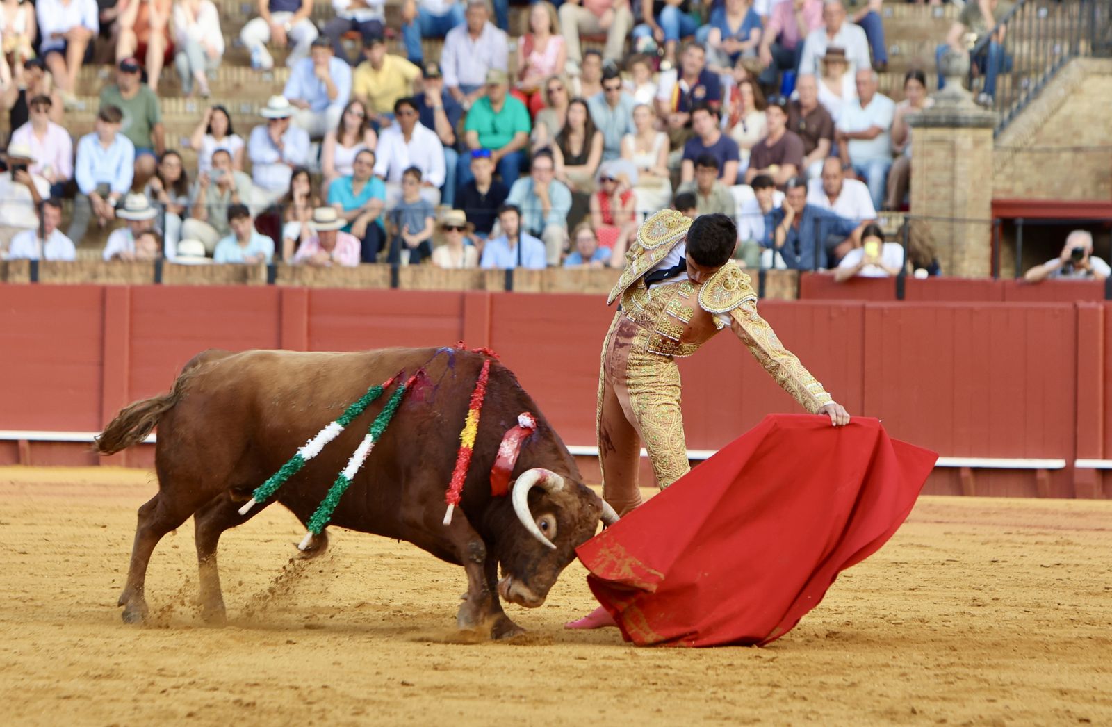 Novillada El Melli, Aarón Palacios y Manuel Jesús  Carrión
