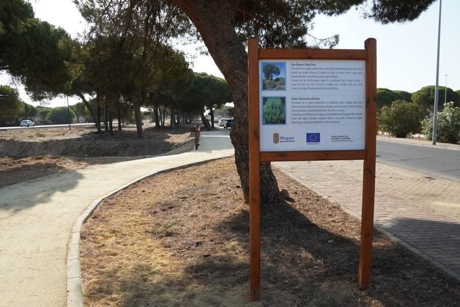 Descubre la nueva imagen de la Avenida del Parador de Mazagón