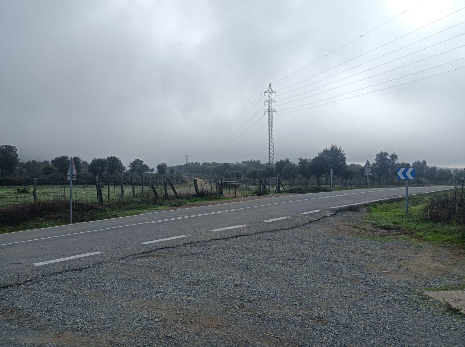 Cruzamos la carretera.