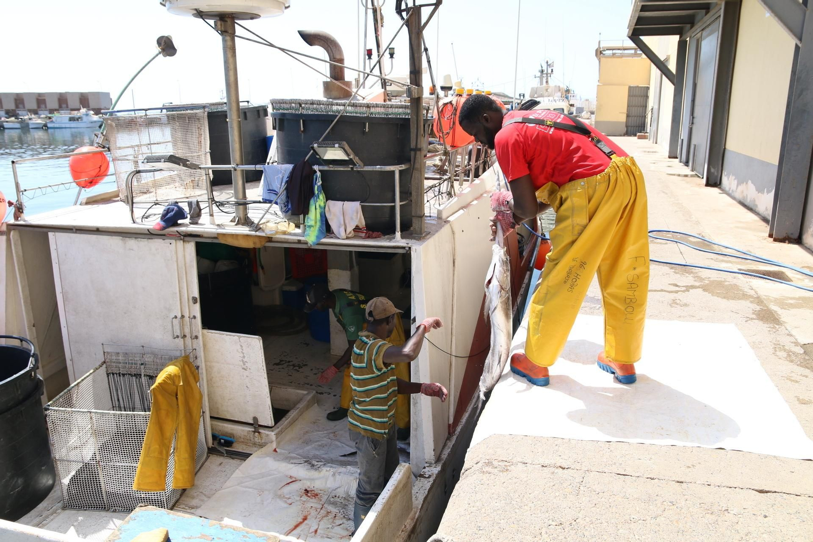Fotogalería de la Cofradía de Pescadores de Adra