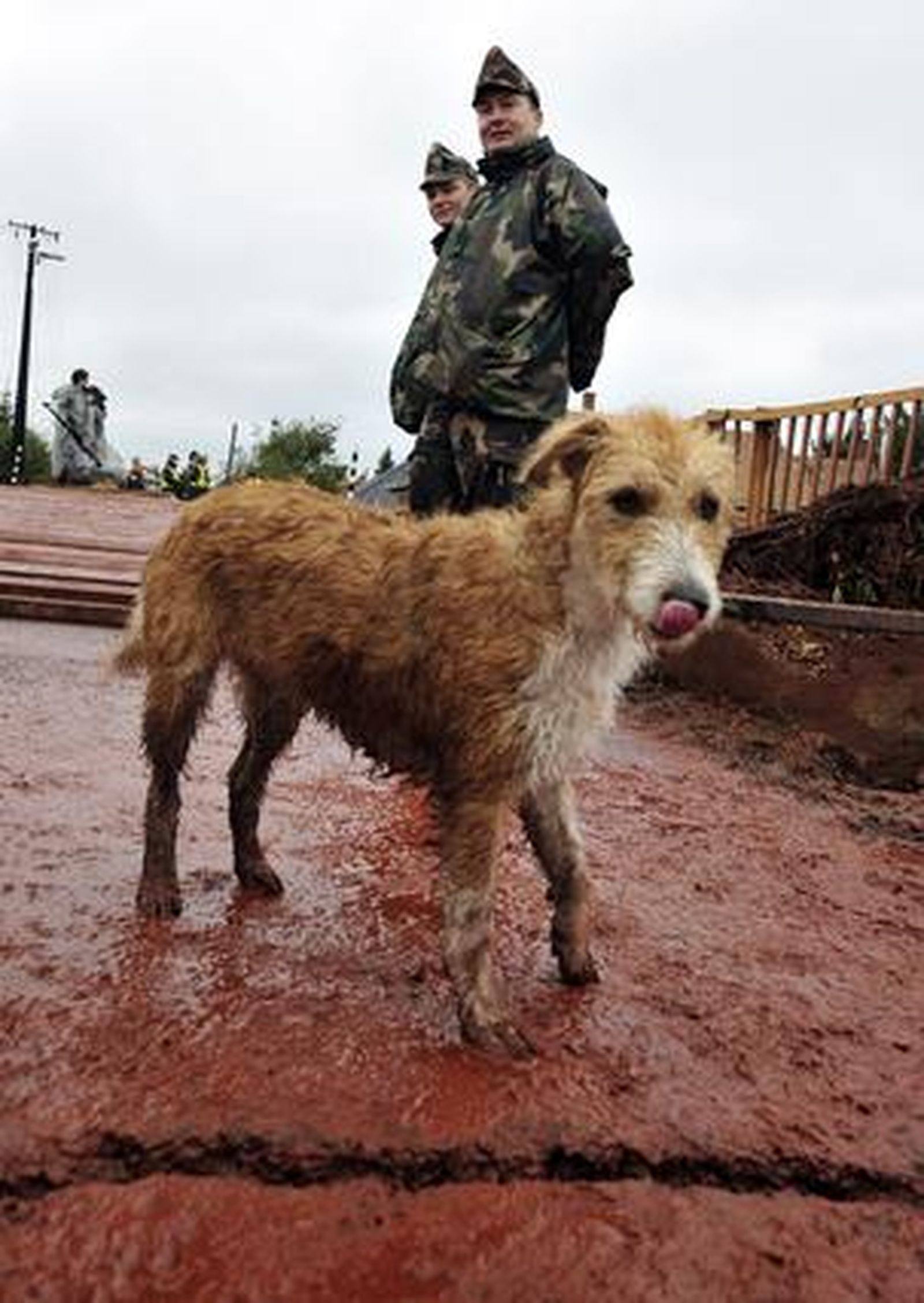 Foto: EFE / AFP / Reuters