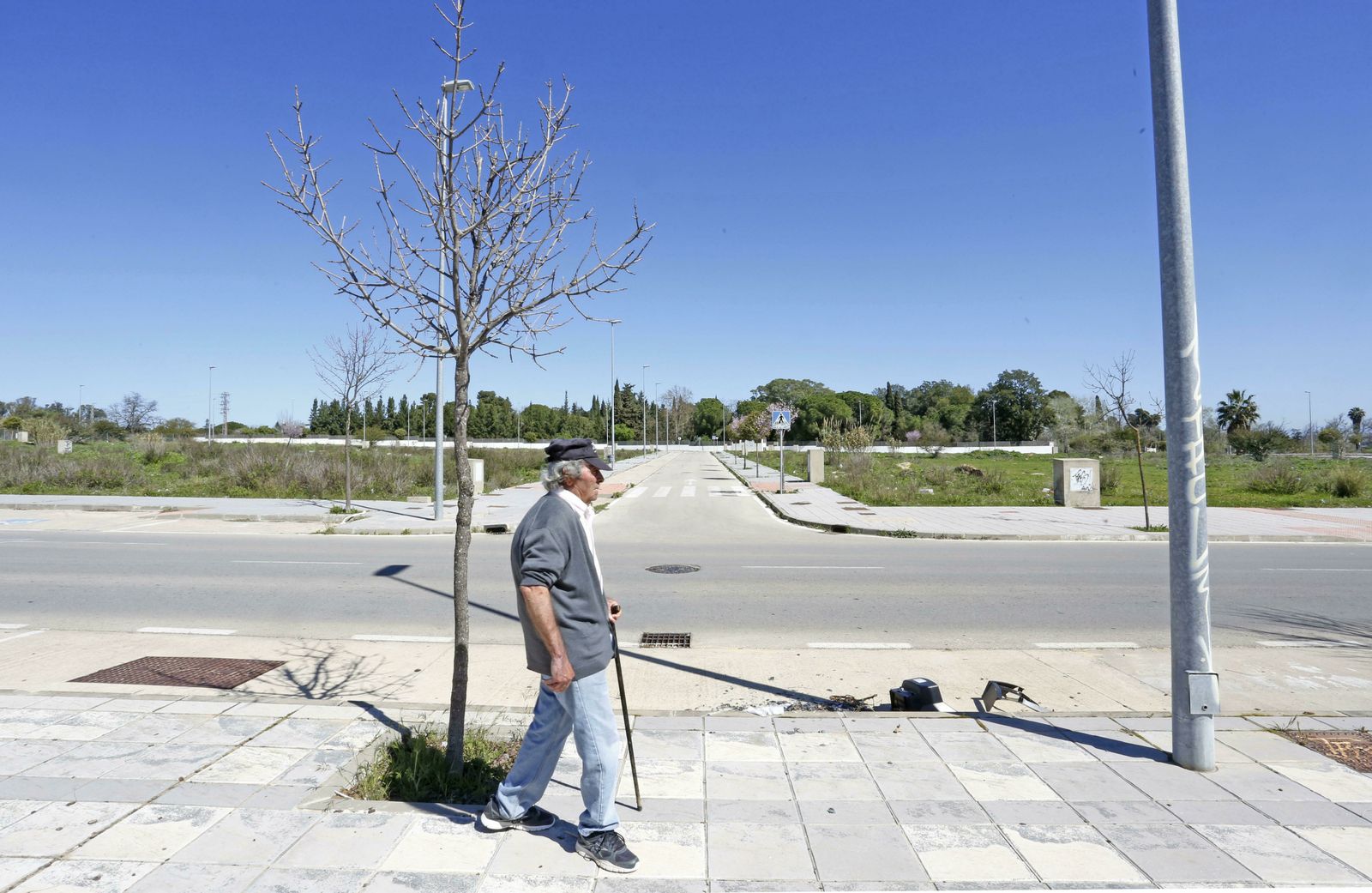 Imagen de terrenos en Pozoalbero.