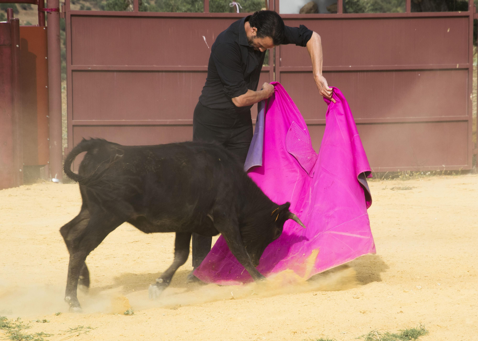 Finito de Córdoba, en un tentadero en la Sierra, en imágenes