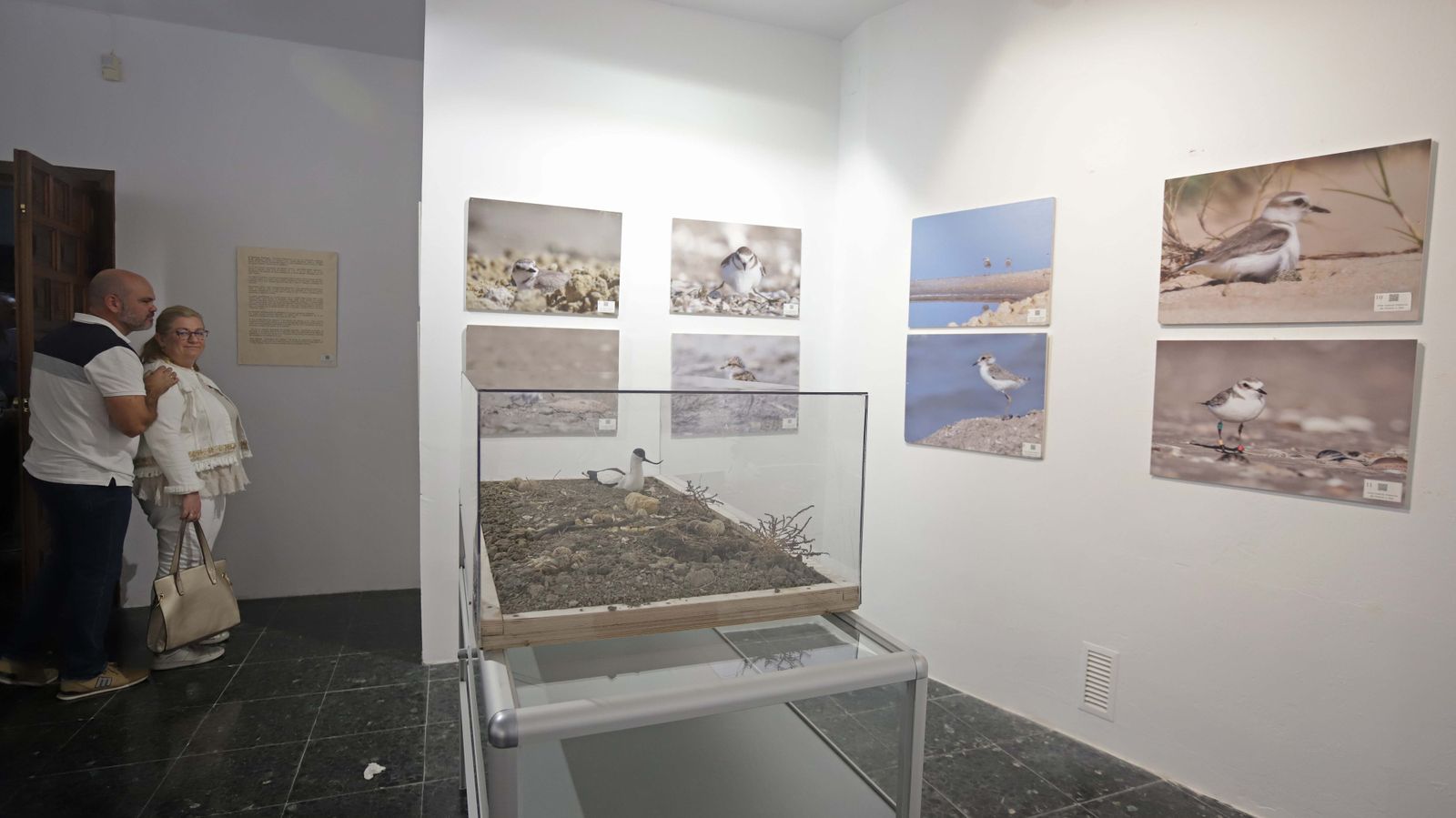 Fotos de las exposiciones de la Galería Manolo Ales en La Línea