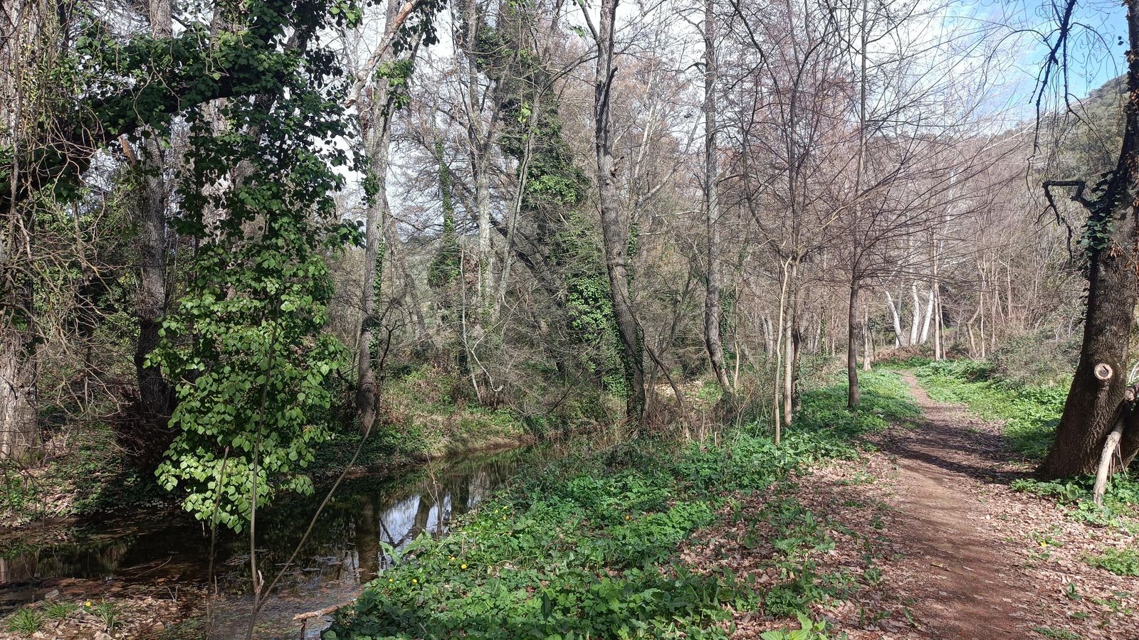 Una estampa bucólica junto a la Rivera del Ciudadeja.