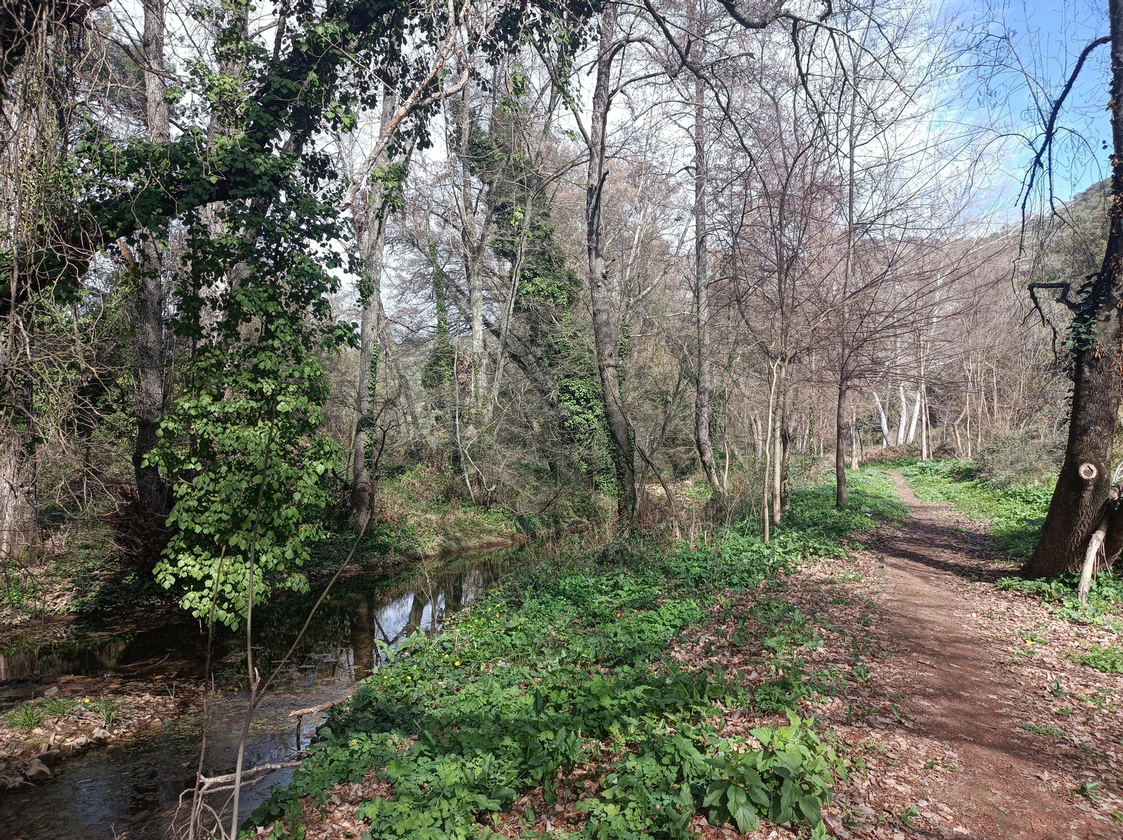Las fotos de la circular de los Molinos del Ciudadeja