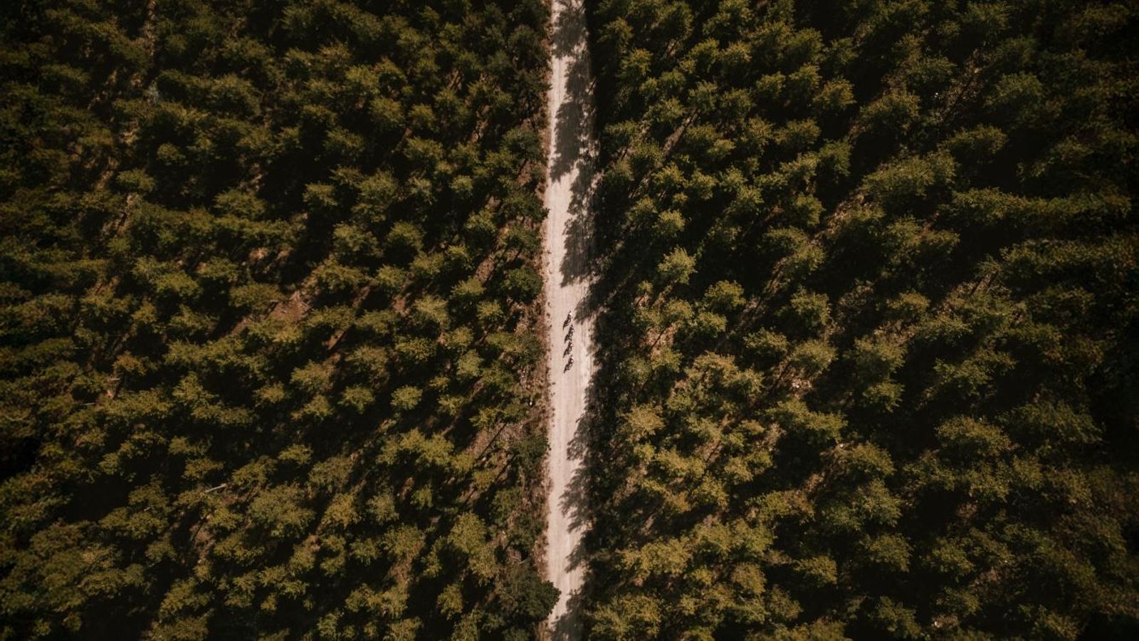 Vista áerea de esta penúltima etapa de la Škoda Titan Desert Almería.