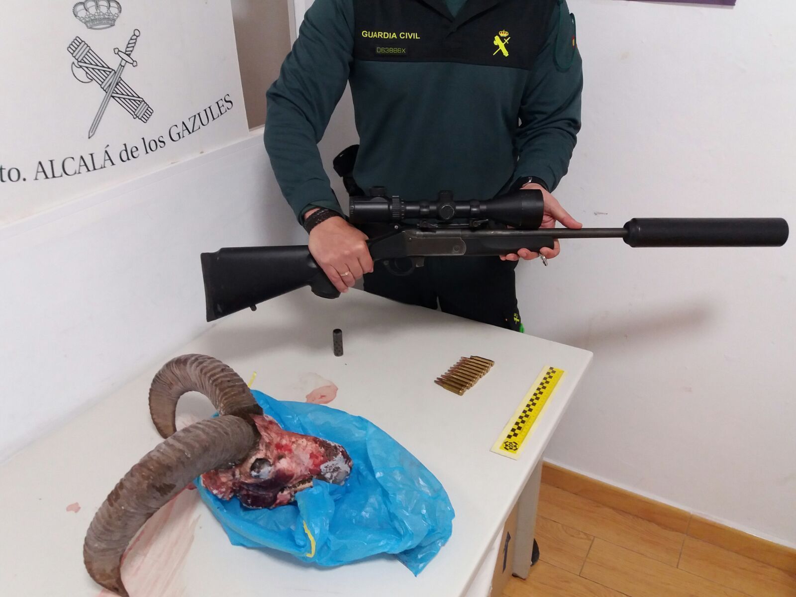 Un guardia civil de Alcalá de los Gazules posa con el rifle incautado y los restos de la cabeza del muflón.