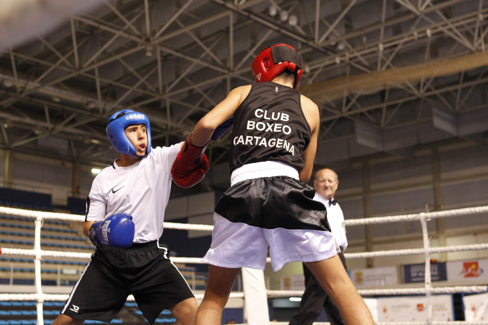 Fotogalería de la velada solidaria de boxeo