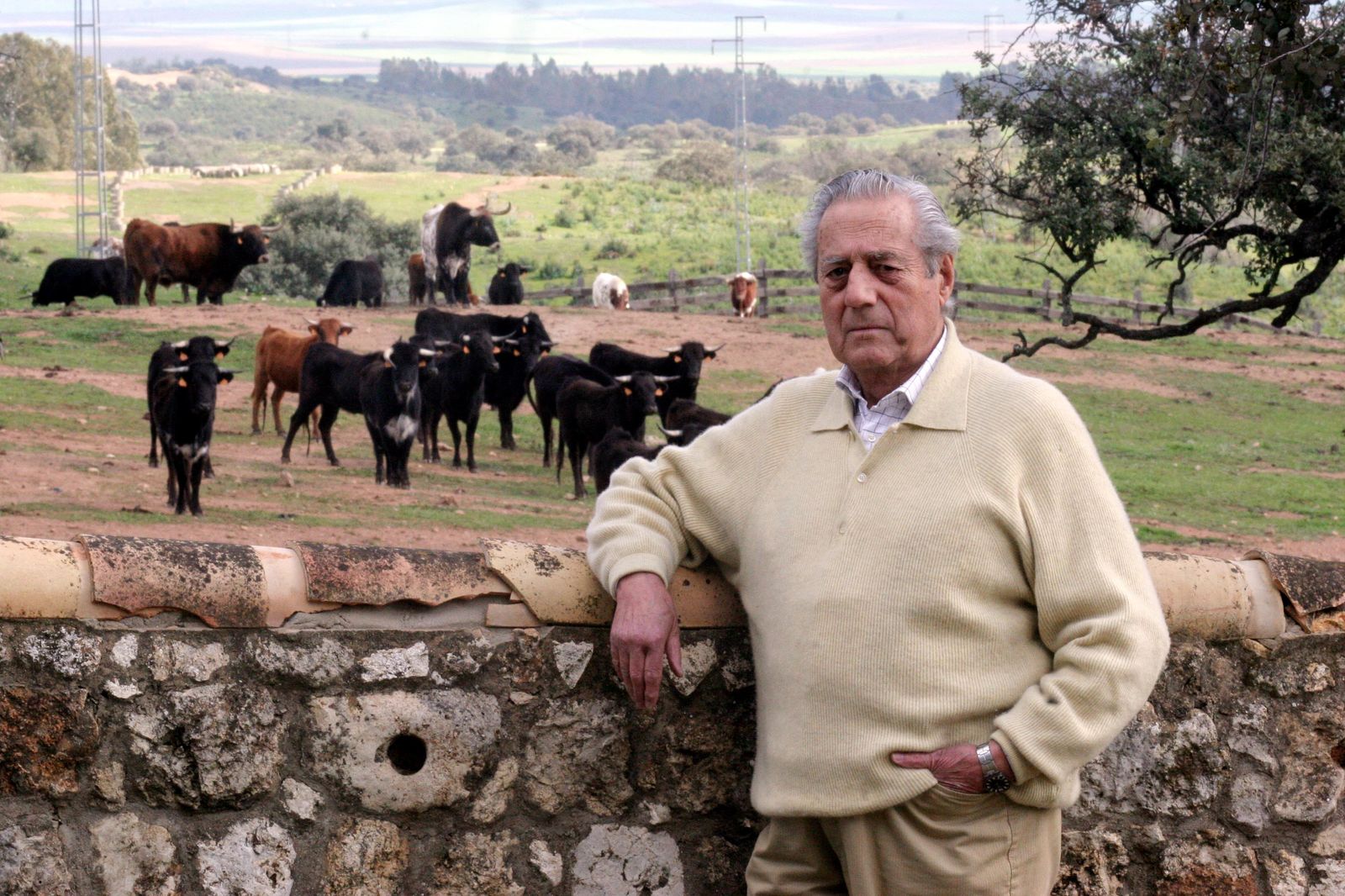 Litri en el campo con su ganadería.