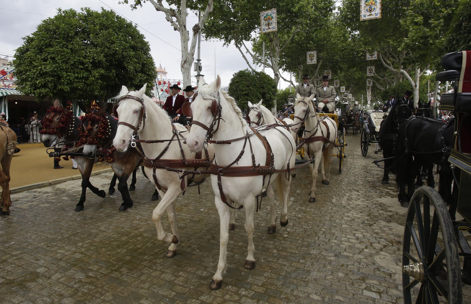 Caballos en la Feria de Abril de este año.