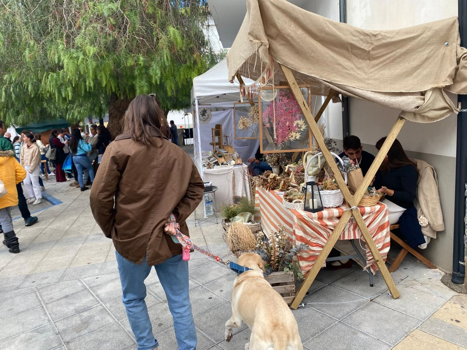 La Feria Medieval de Dílar, en imágenes que parecen de otra época