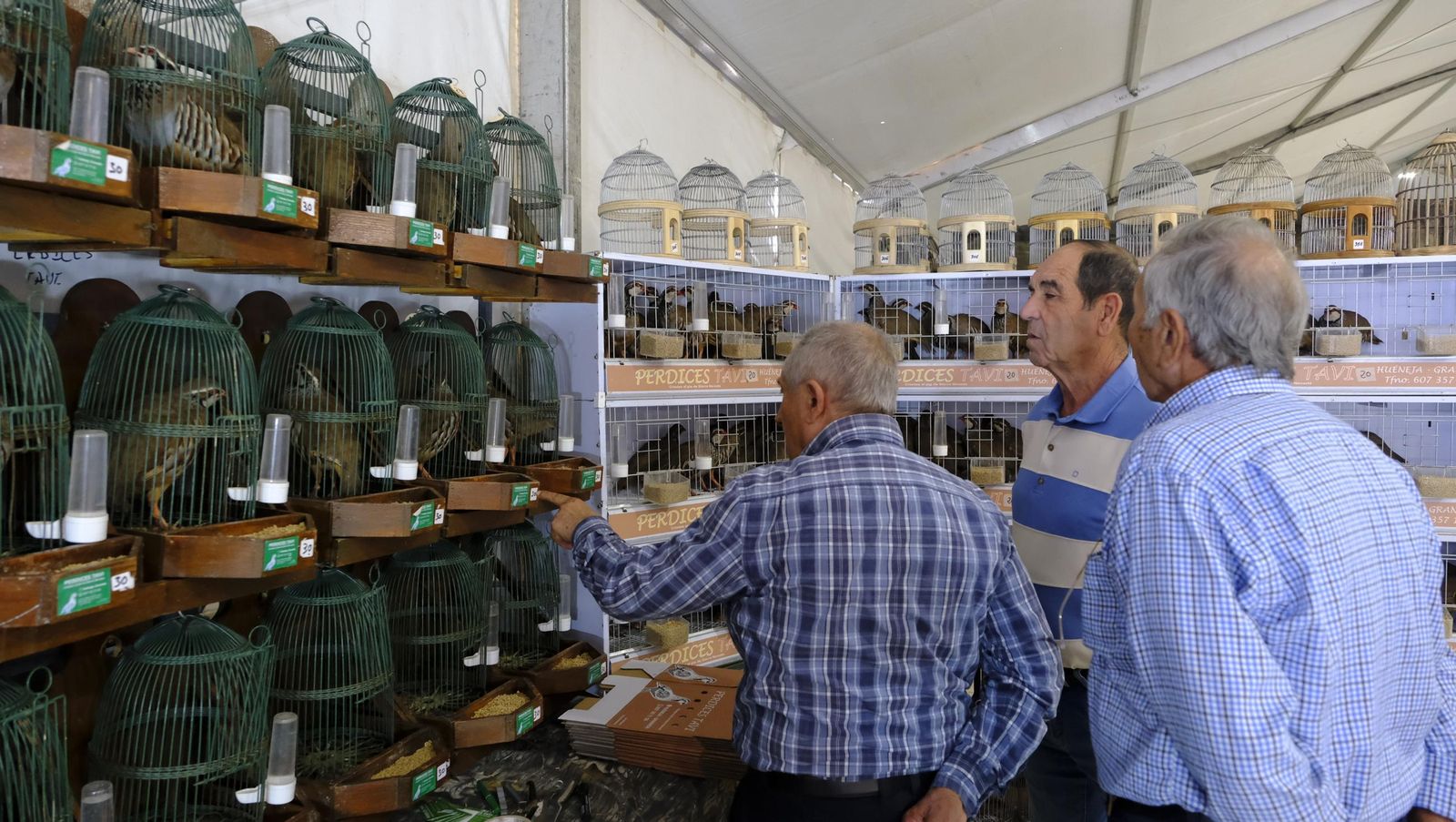 Las fotos de la Feria del Ganado y del Pájaro Perdiz en Albox