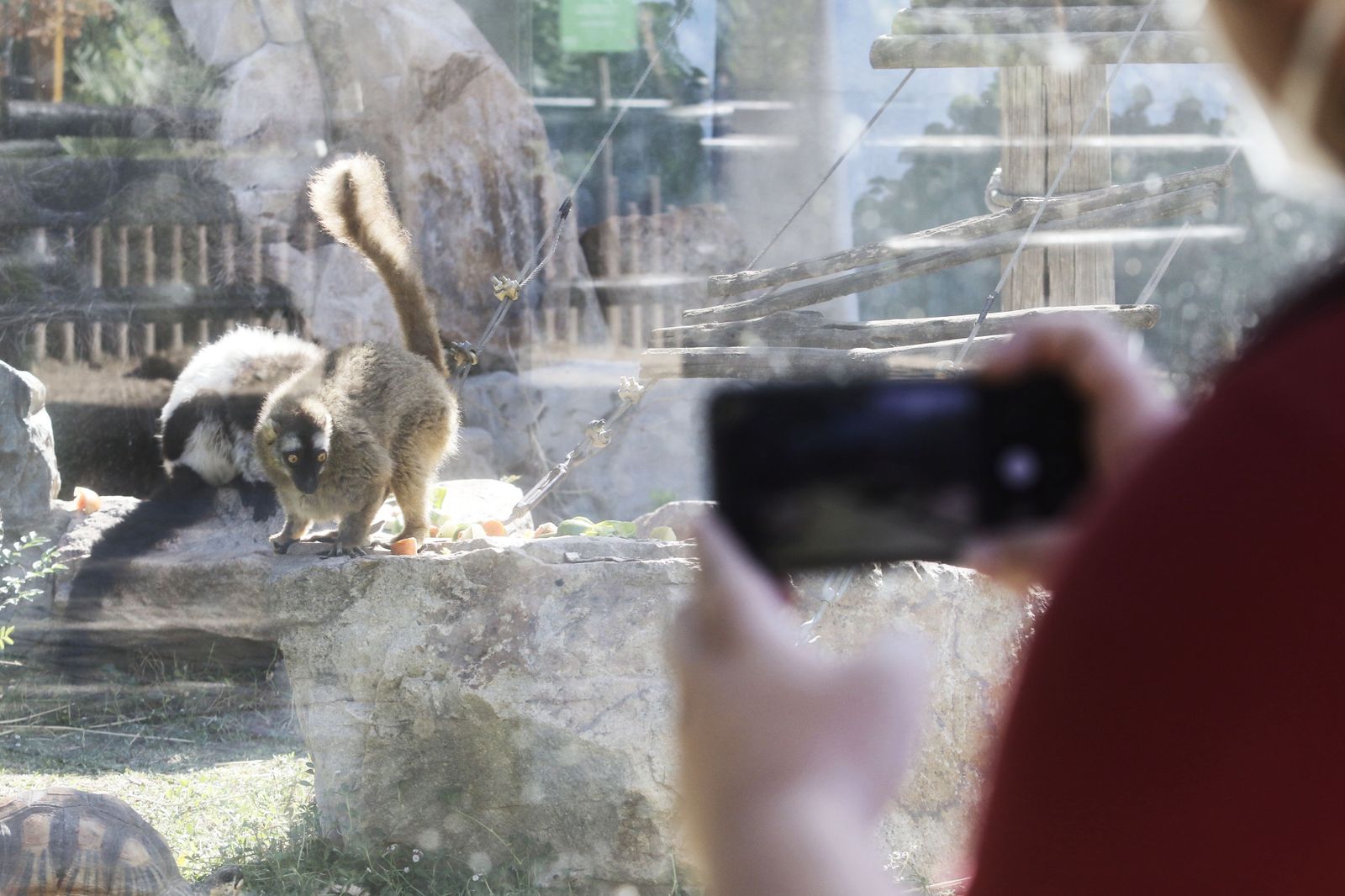 Las fotografías de la reapertura del Zoo de Córdoba tras el coronavirus