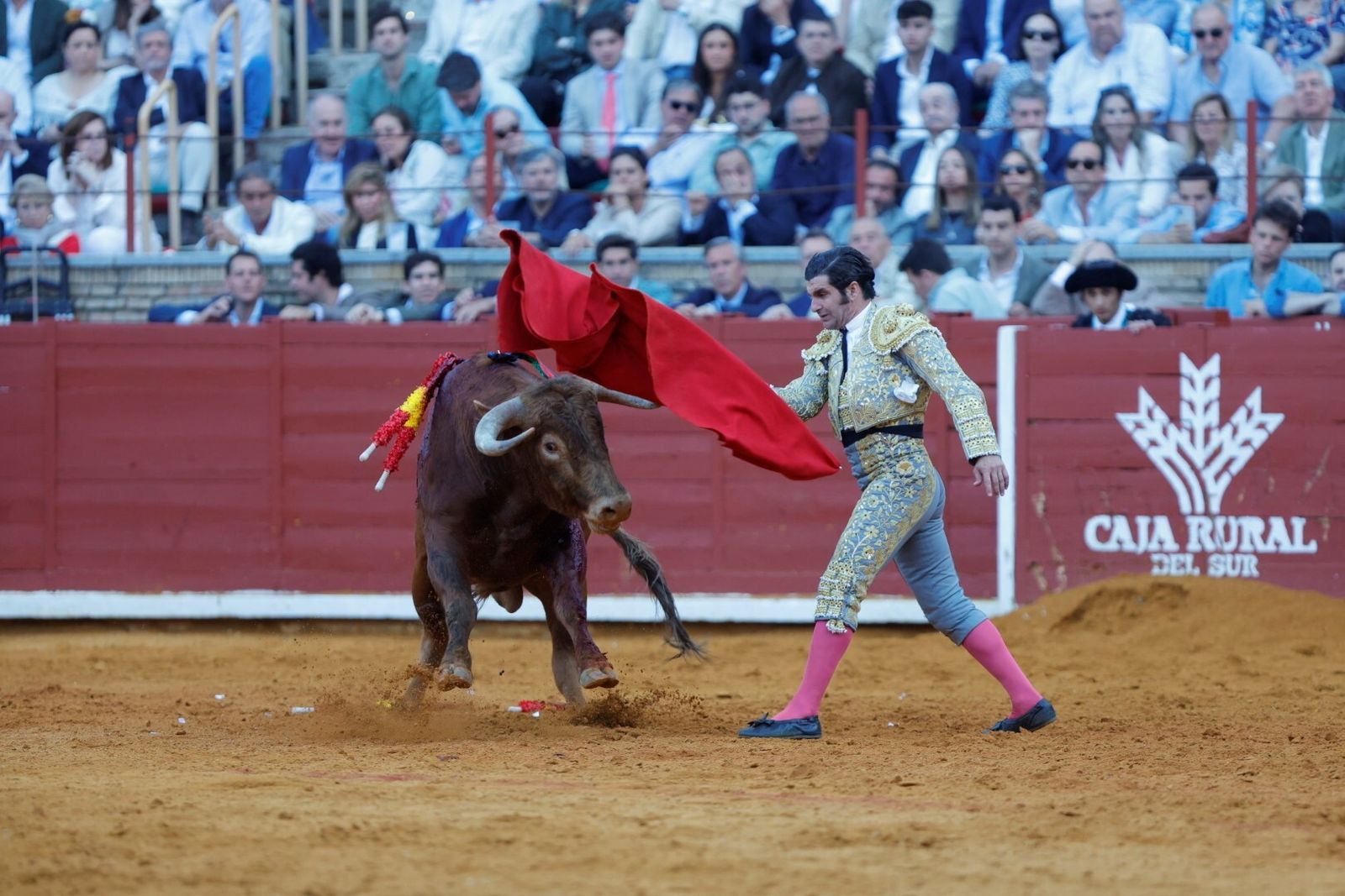 Las mejores fotos de la corrida de Morante, Ortega y Roca Rey en la Feria Taurina de Córdoba