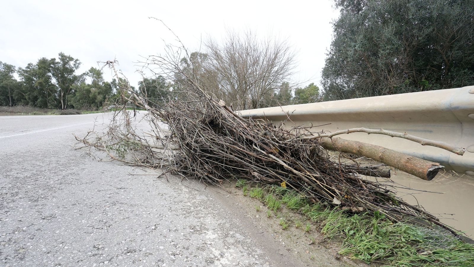 El Guadalete comienza a bajar su nivel poco a poco por la zona rural de Jerez