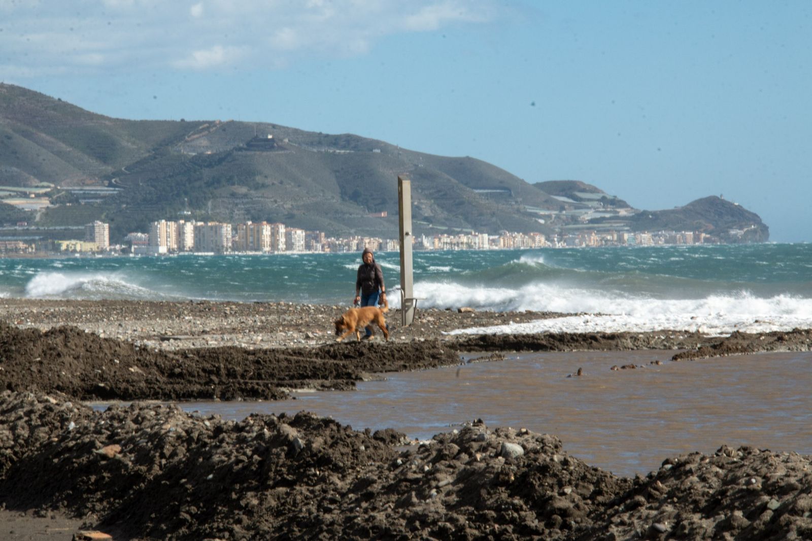 Una mujer pasea a su perro por la playa