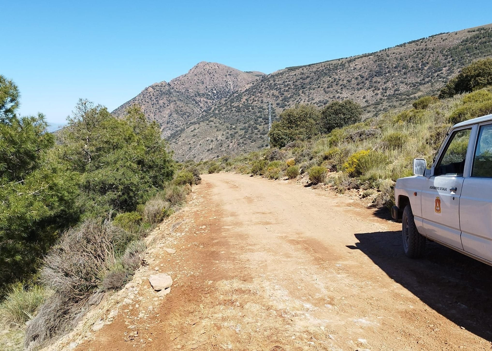 Así han quedado las pistas forestales tras las mejoras.