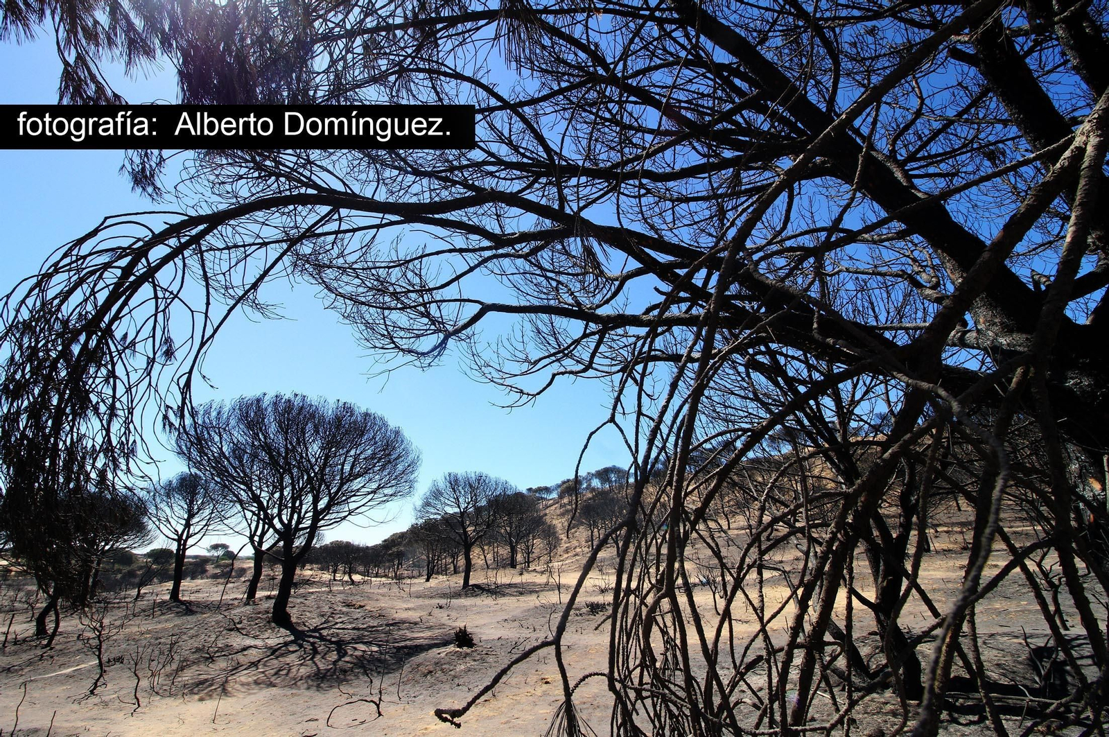 Imágenes de Cuesta Maneli tras el incendio.
