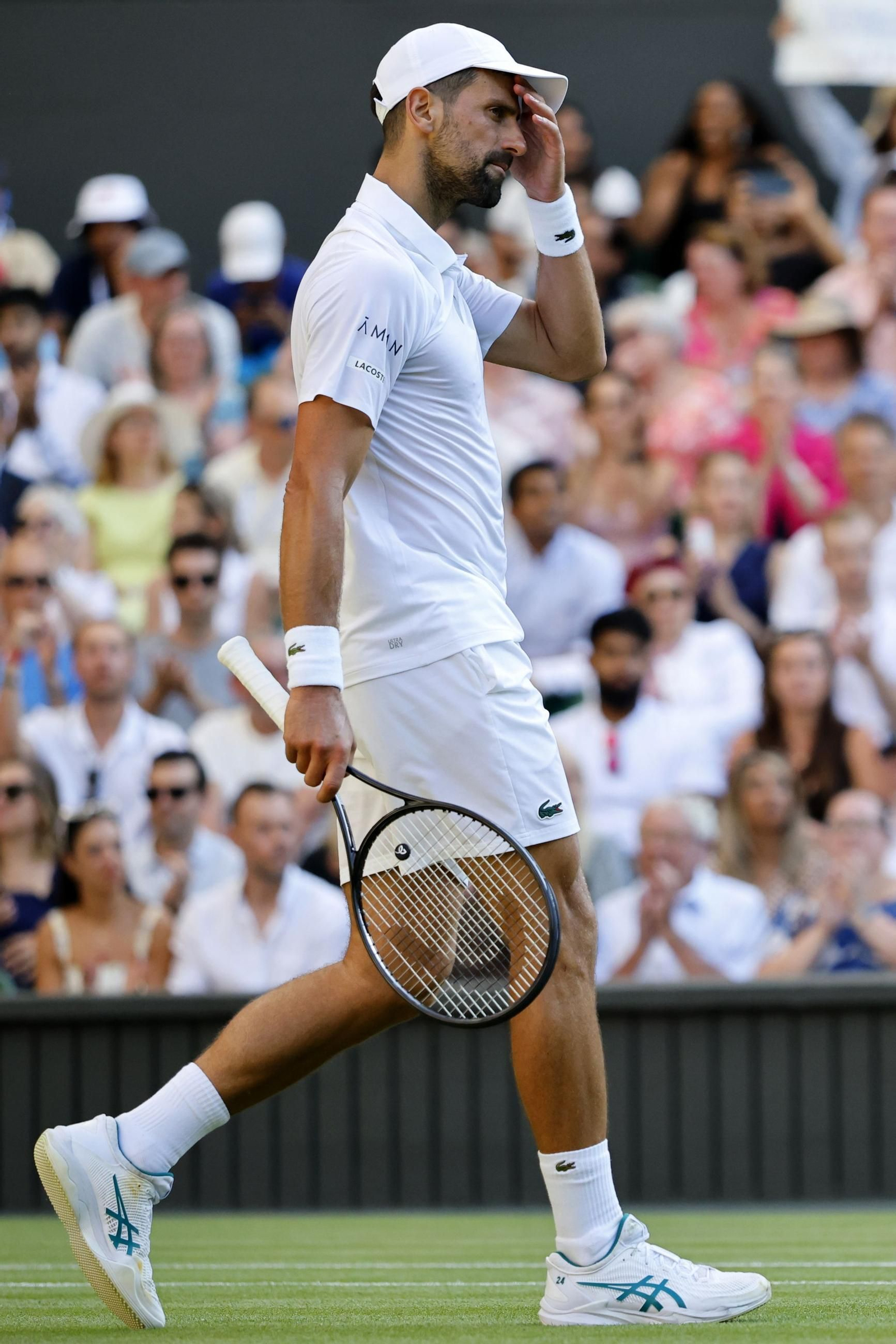 Las fotos de Wimbledon con las clasificaciones de Djokovic y Sinner
