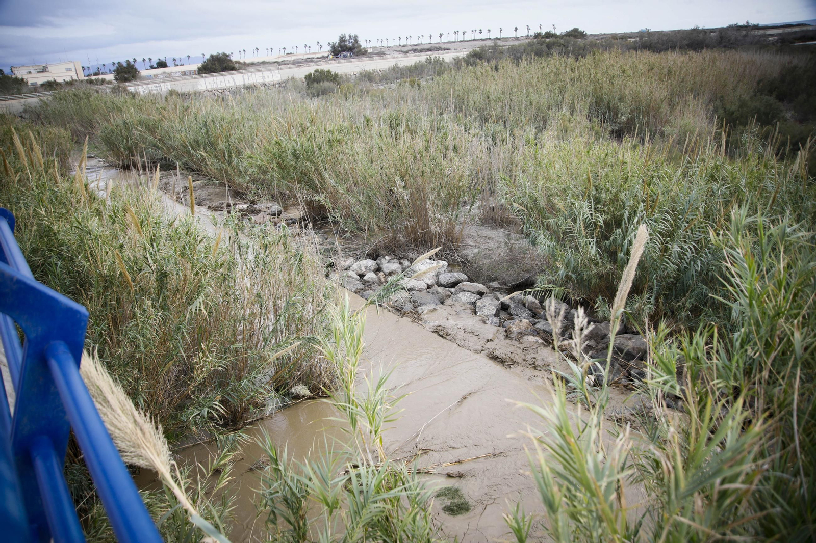 La desembocadura del río Andarax, en imágenes