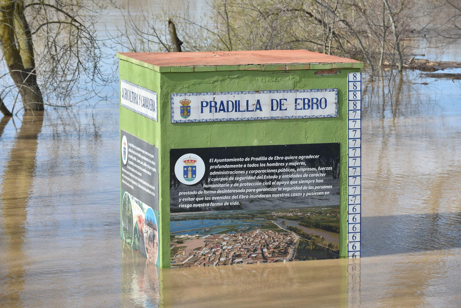 Imágenes de la crecida del río Ebro a su paso por Zaragoza
