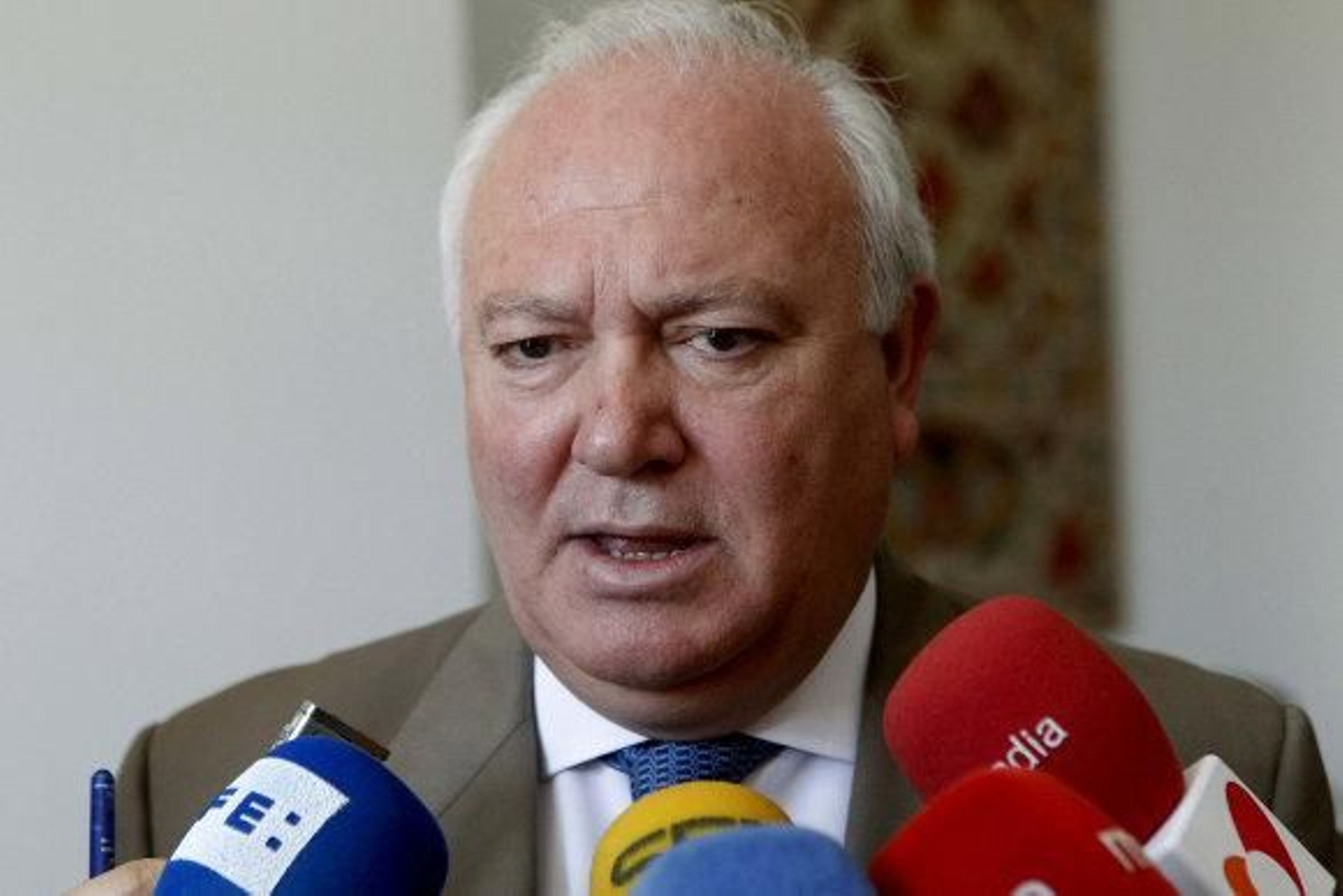 Moratinos: "Las fricciones y roces entre países vecinos son normales"