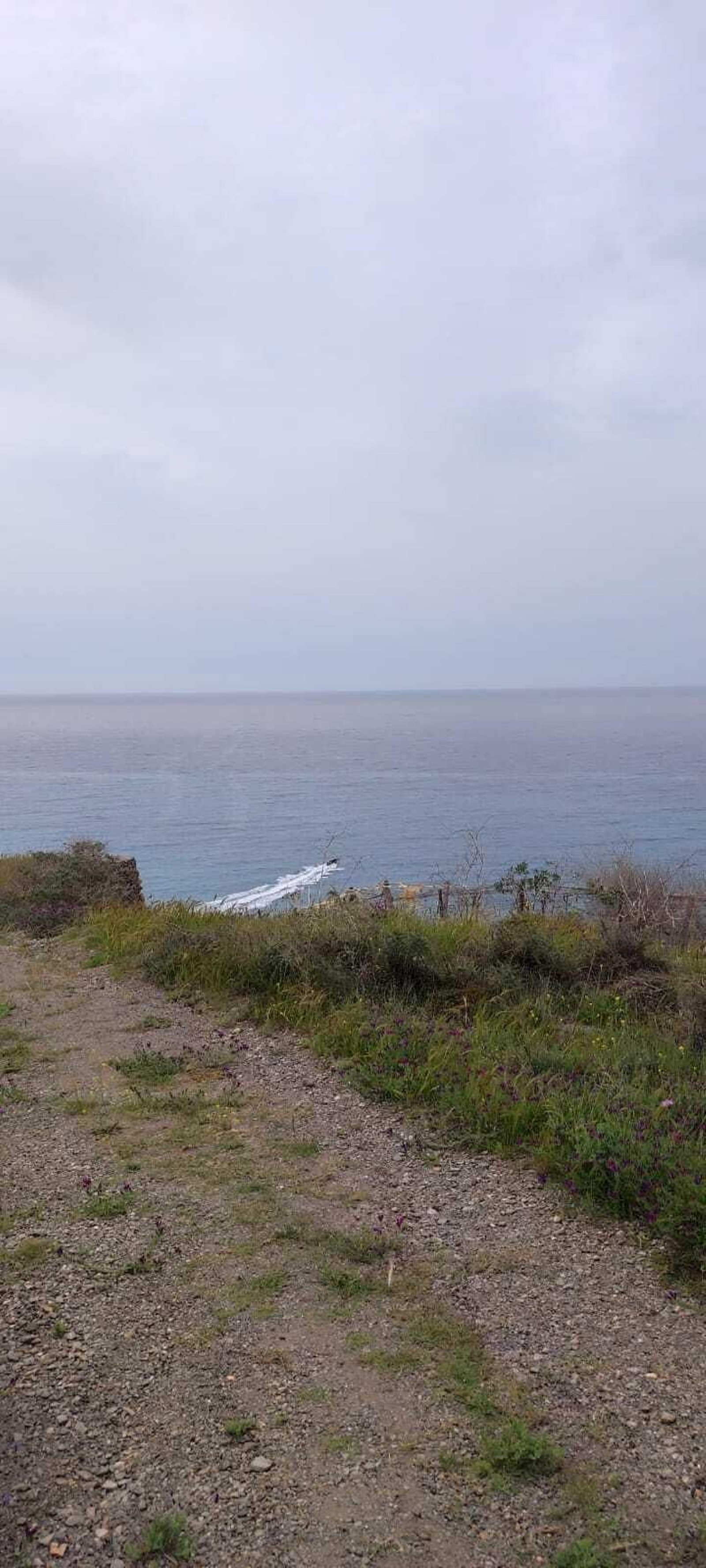 Una narcholancha surca el frente litoral de Adra en las últimas horas.