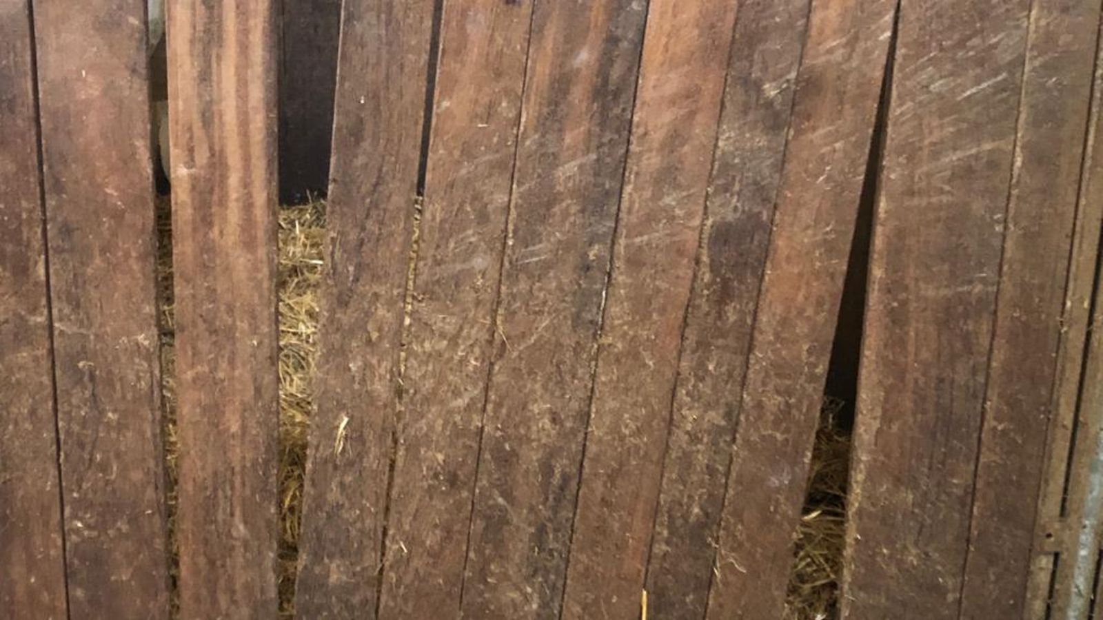 Aspecto de una de las cuadras.