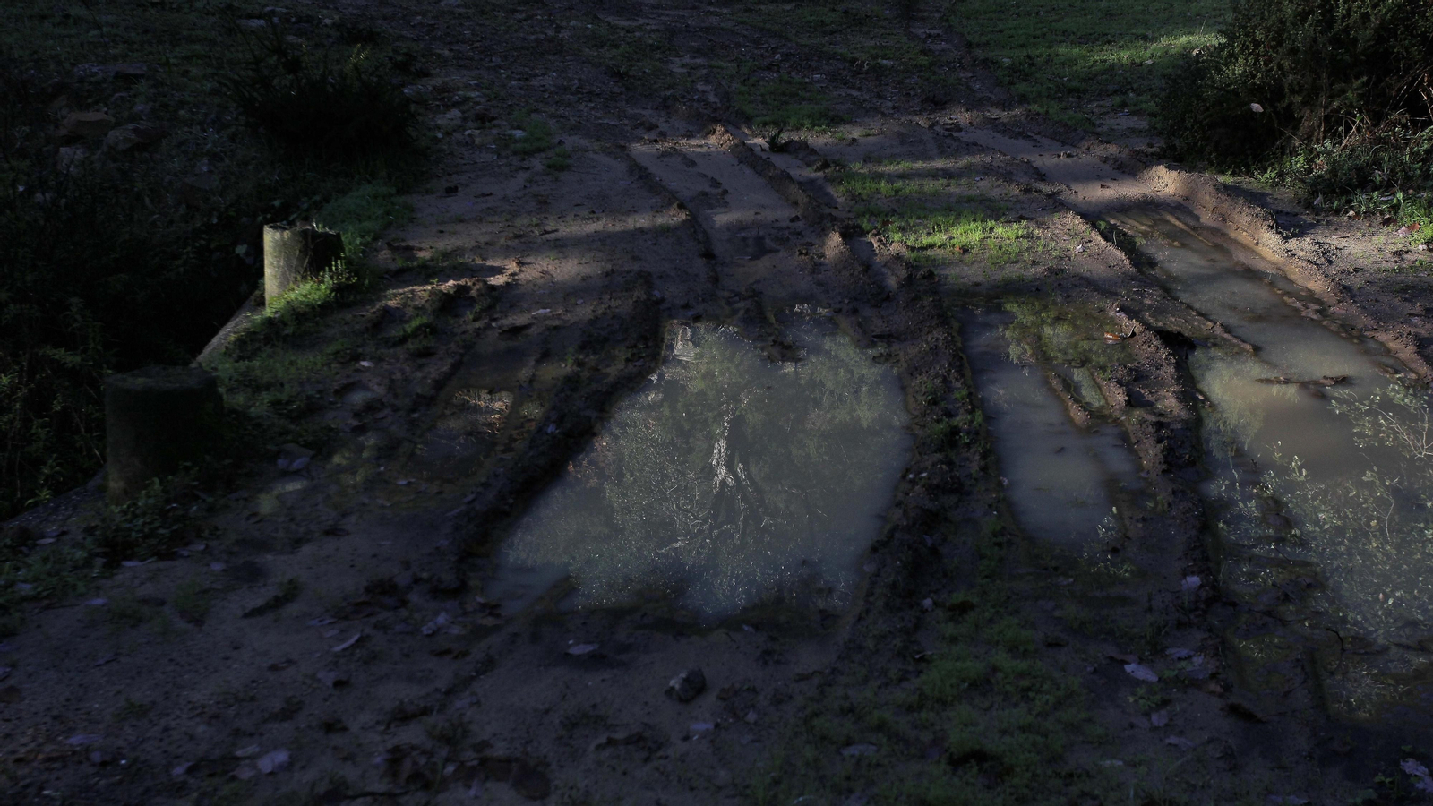 Sendero de la finca Murta en Los Barrios