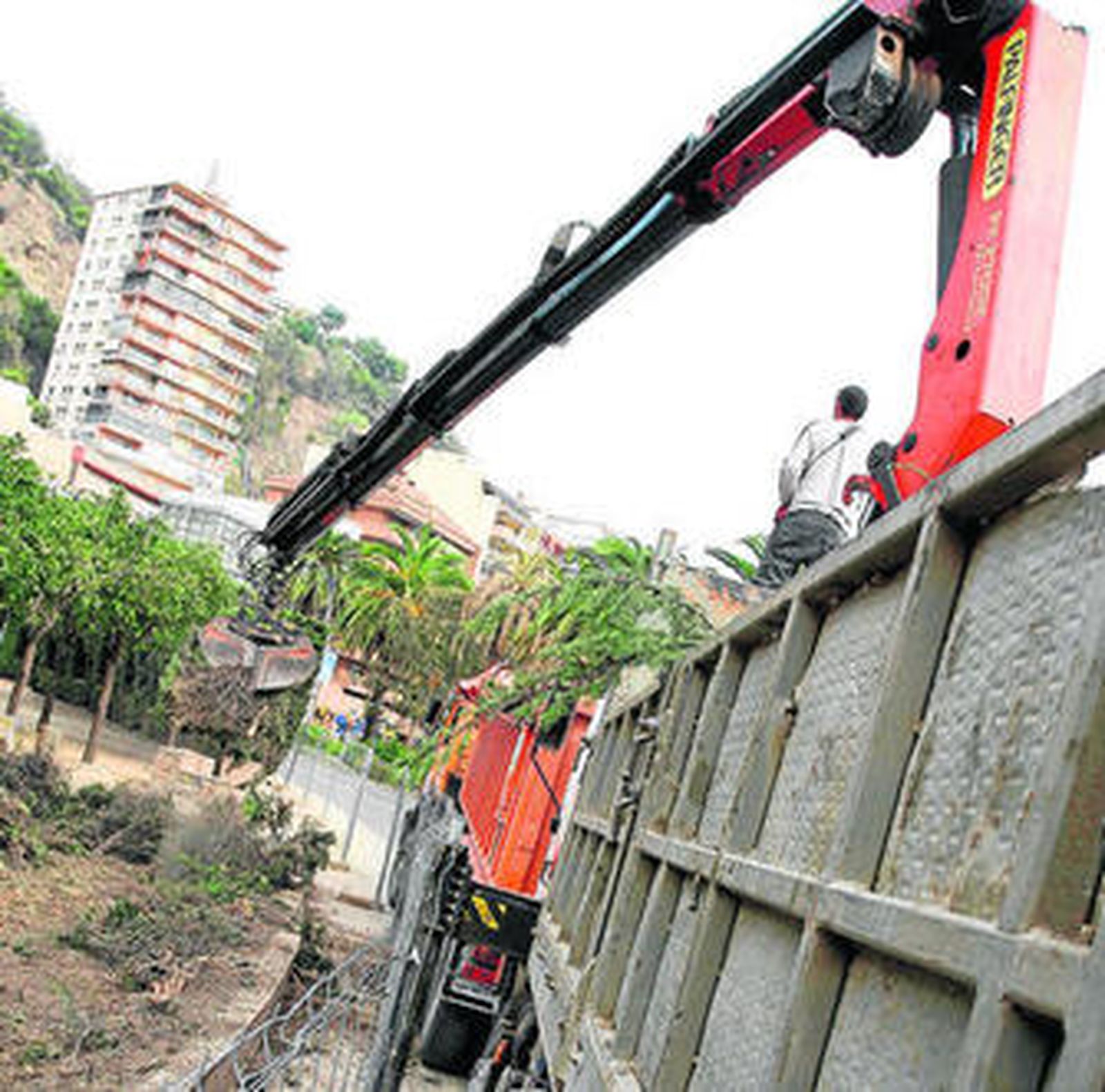 Operarios retiran los cipreses podados ayer en los jardines de Pedro Luis Alonso.