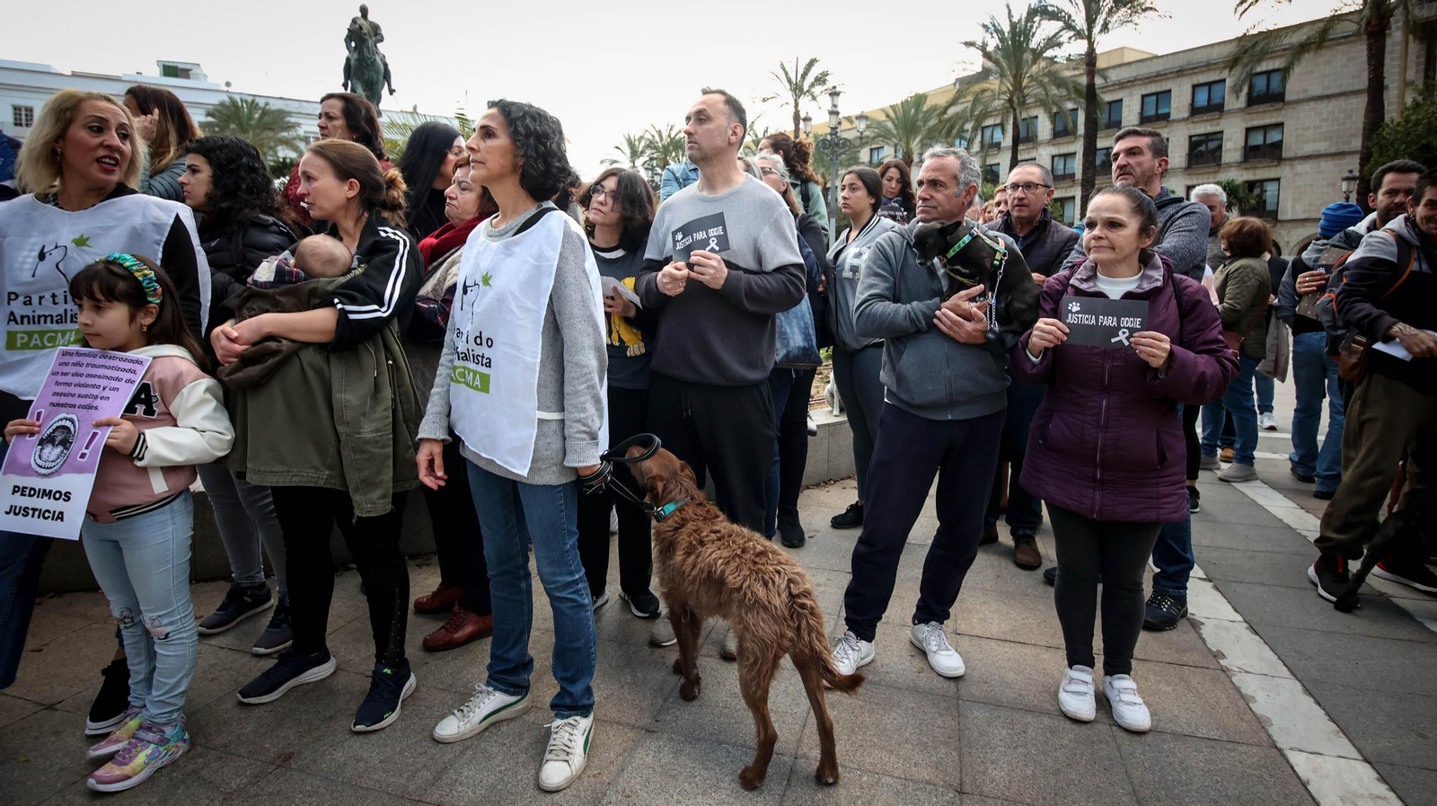 Protestas por el asesinato del perrito 'Oddie' en Jerez