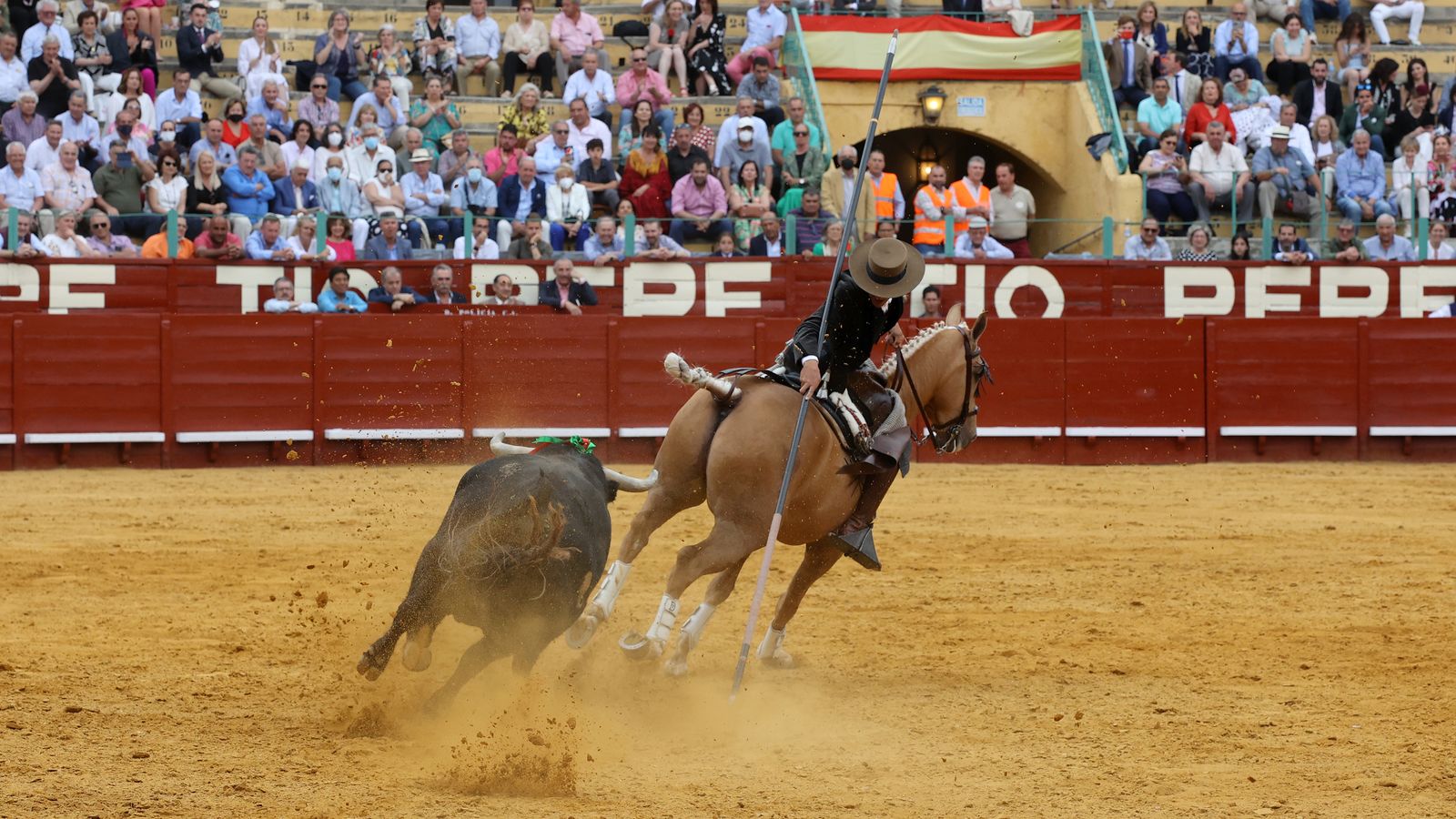 Toros en Jerez: El arte ecuestre