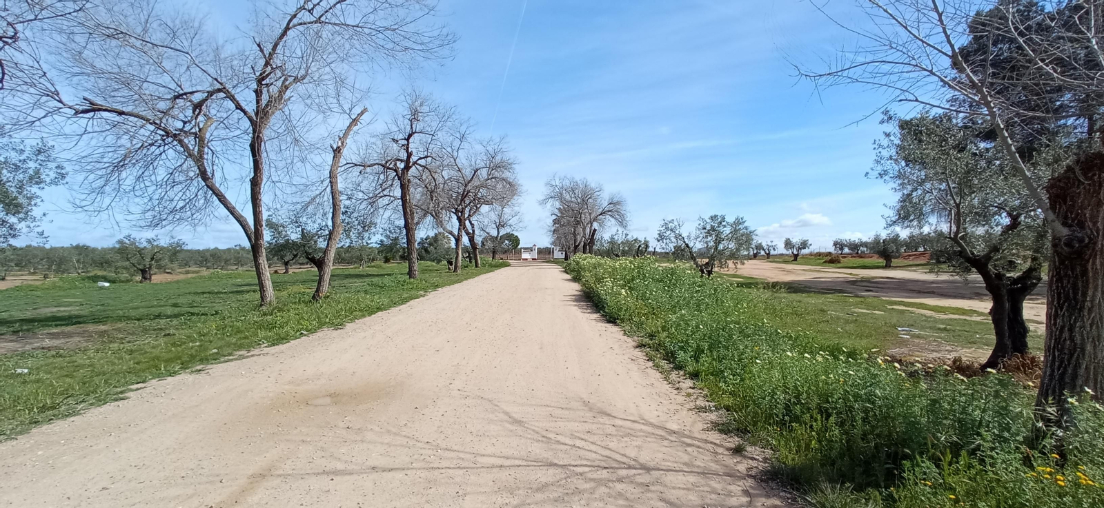 Las imágenes de la Ruta Azul en Bollullos de la Mitación