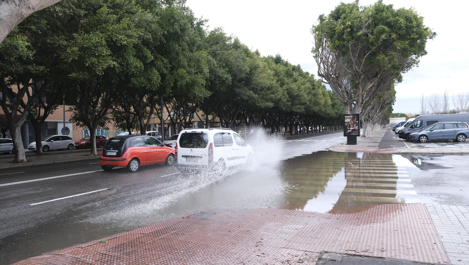 Sábado de lluvia en Almería capital, en imágenes