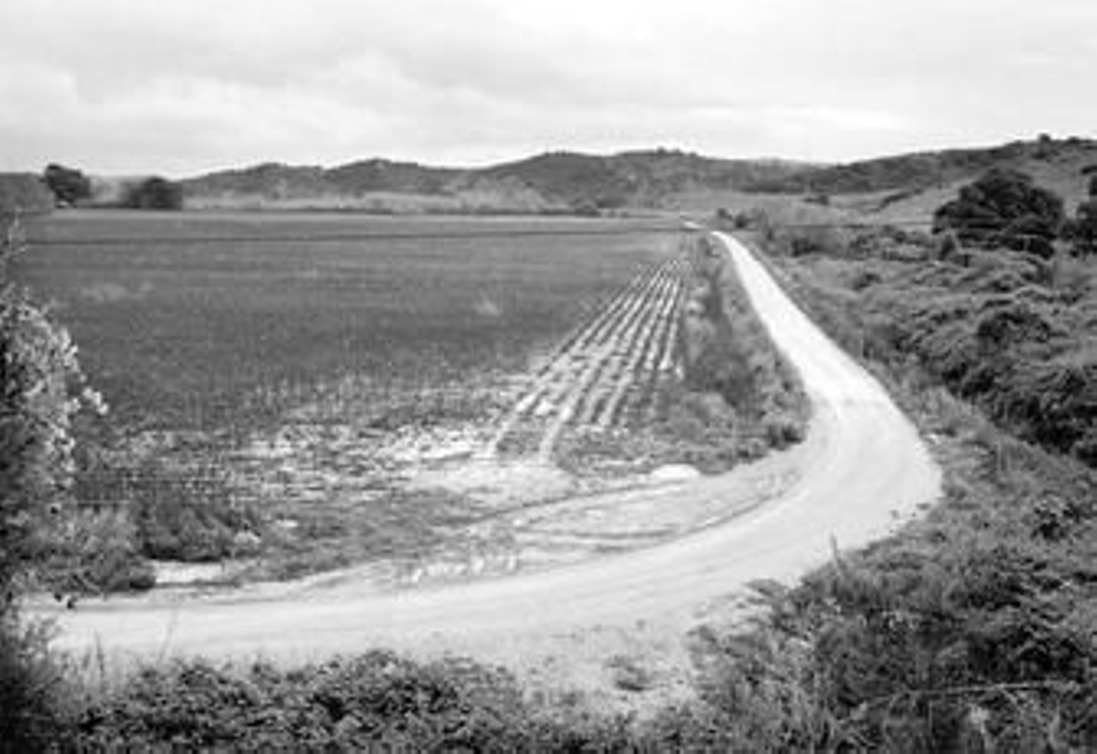 La vega de Barría de Jimena, en una imagen de archivo.