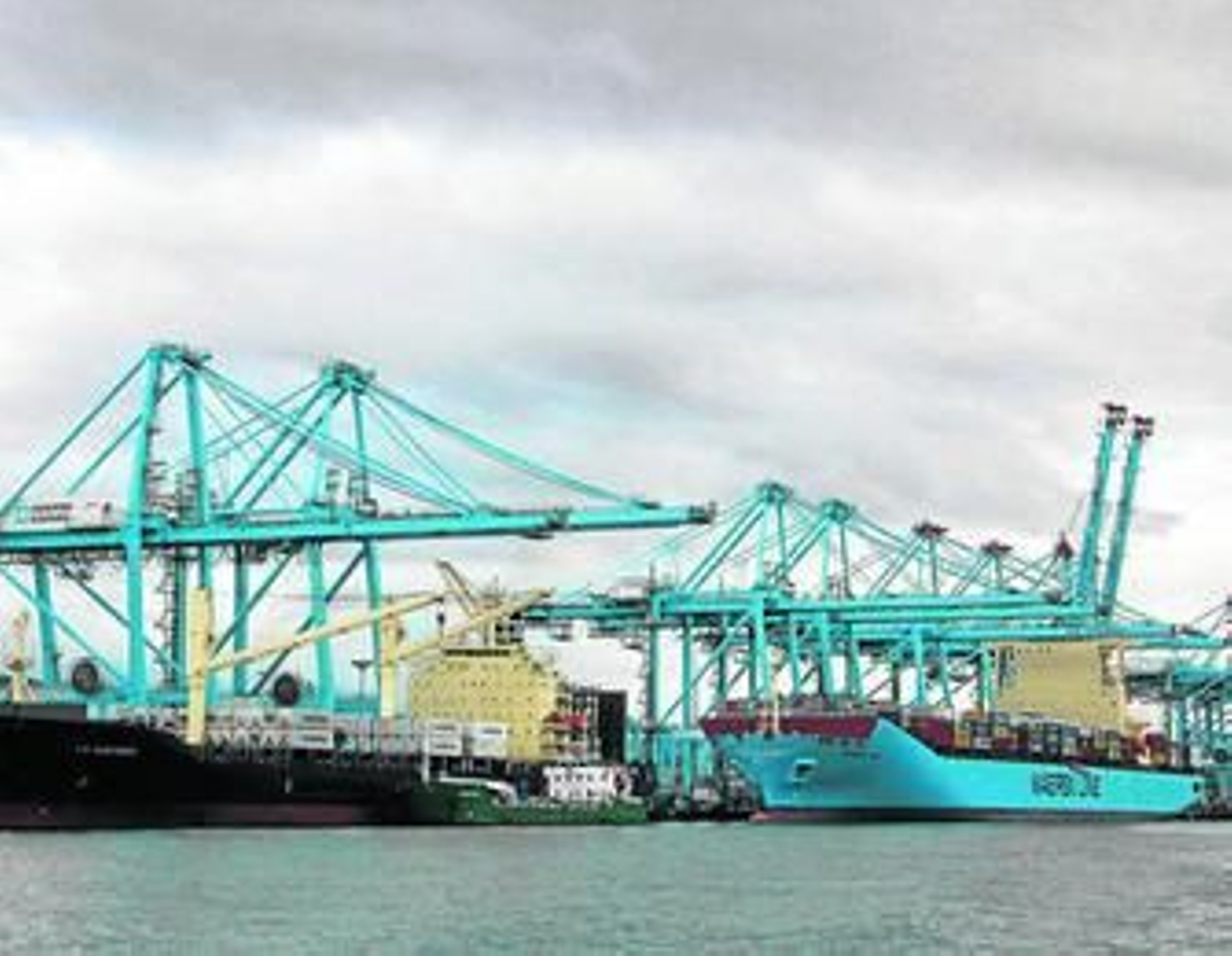 Portacontenedores en APM Terminals Algeciras, en una imagen reciente.