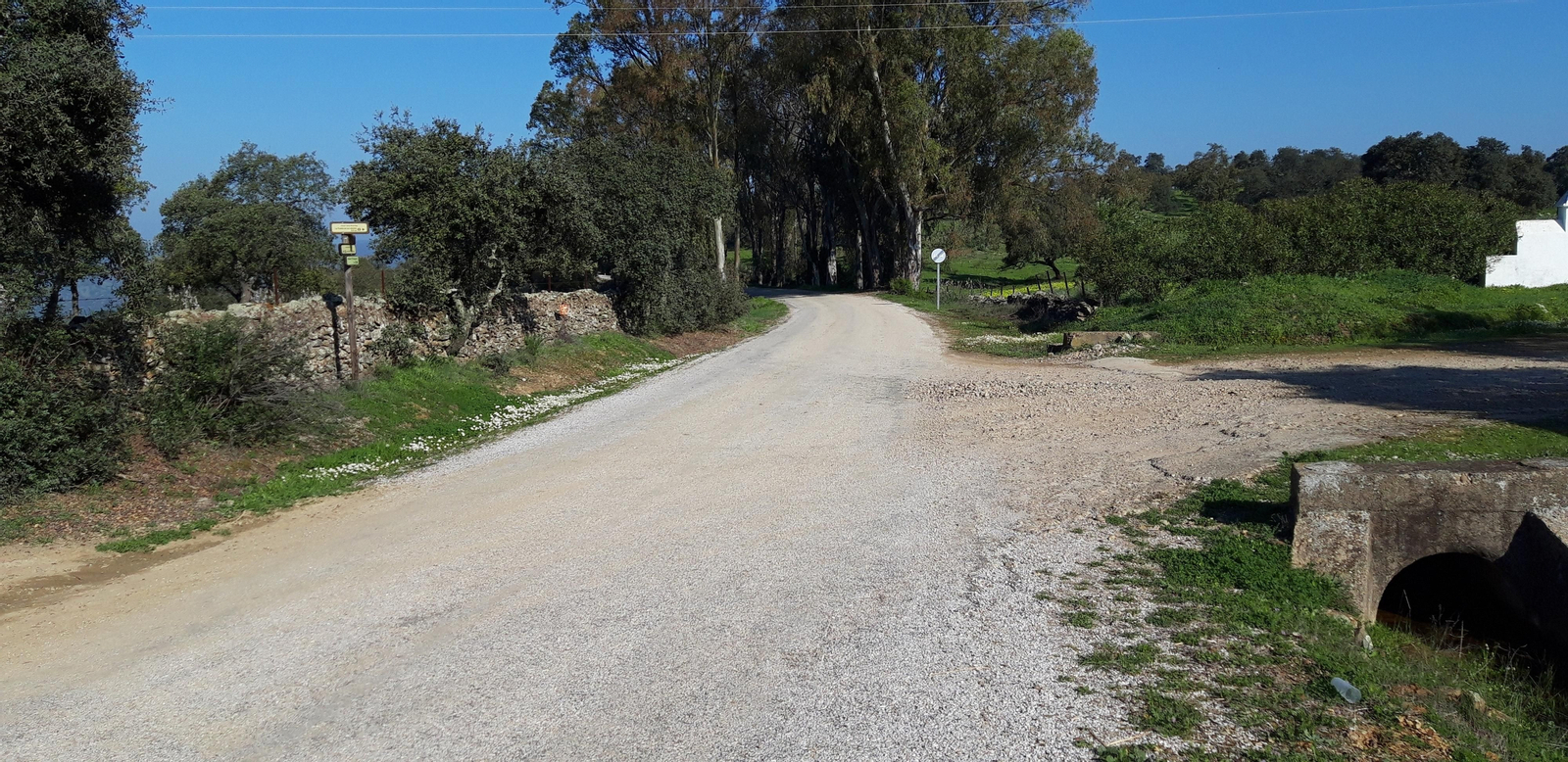 Circular de Las Palomas en La Puebla de los Infantes