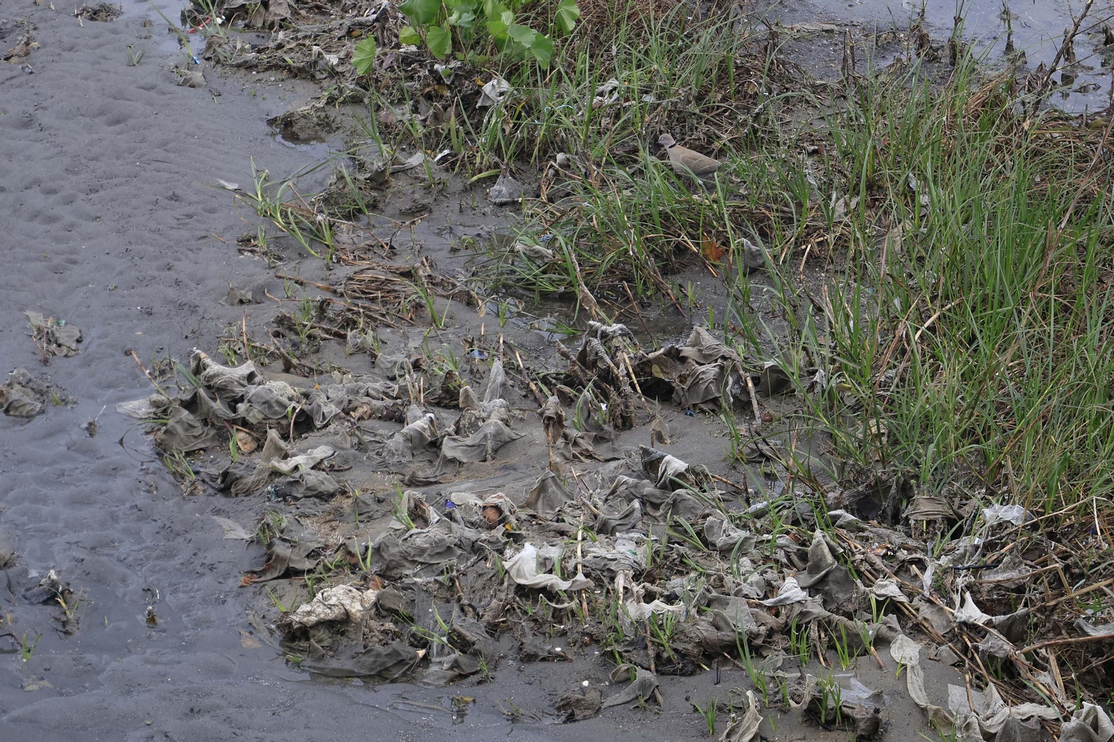 Las fotos de los efectos de la borrasca Emilia en el Campo de Gibraltar