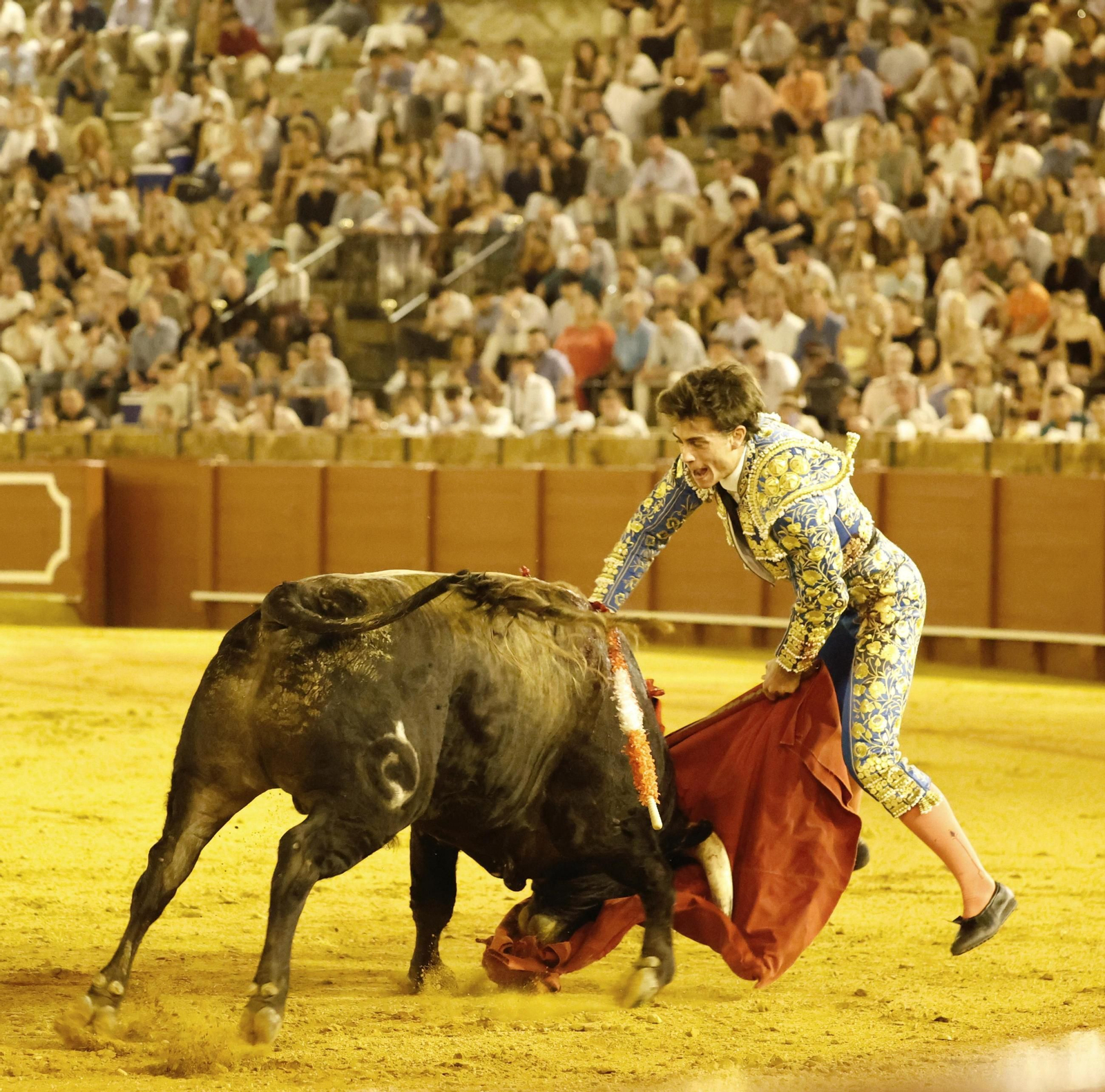 El manejo de la espada ha sido fundamental en las dos novilladas toreadas por Julio Aparicio. El manejo de la espada ha sido fundamental en las dos novilladas toreadas por Julio Aparicio.