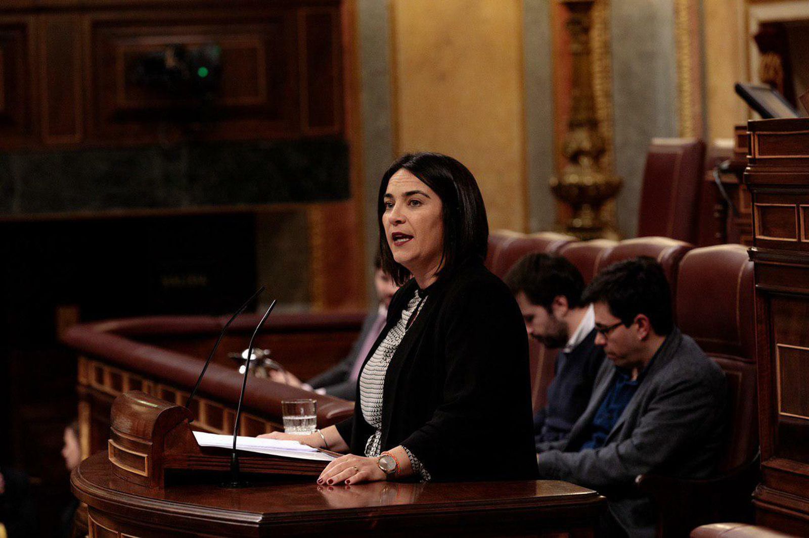 Mª Carmen Martínez Granados durante su intervención en el Congreso.