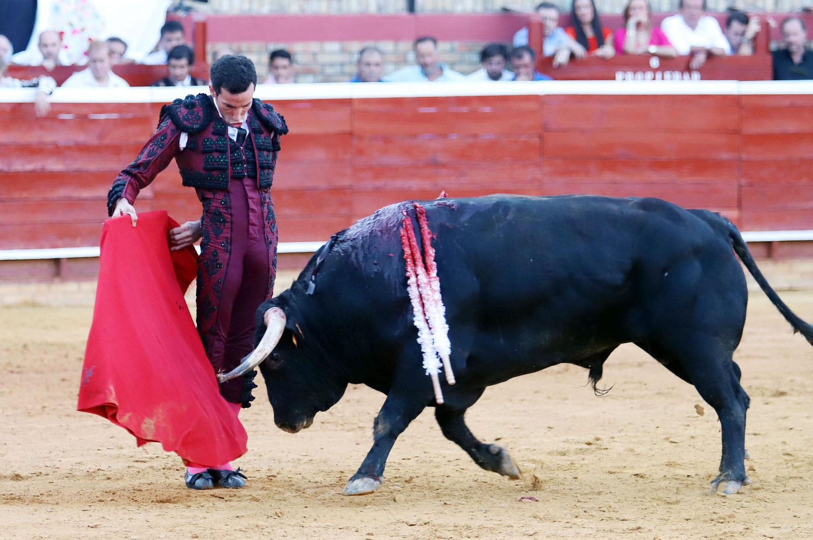 Imágenes de Morante de la Puebla, David de Miranda y Pablo Aguado en la Plaza de Toros La Merced