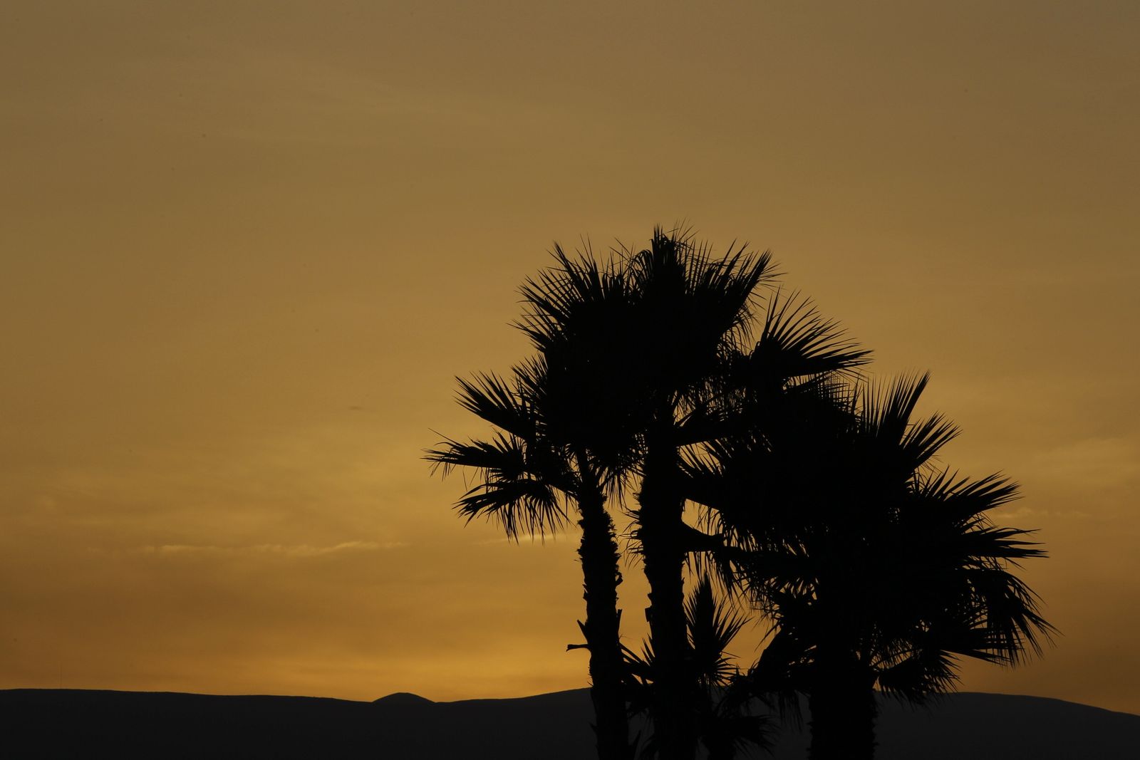 Fotogalería Noche de San Juan. El Zapillo. Almeria