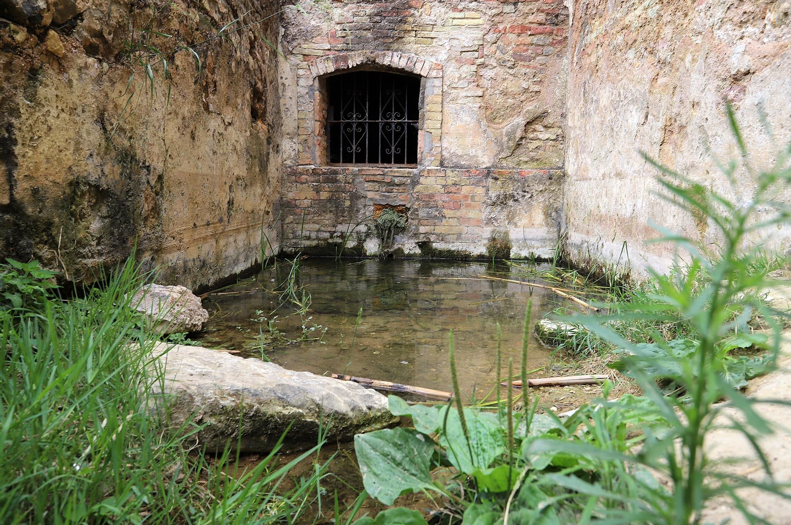 Imágenes del estado de abandono en el que se encuentra la Fuente Vieja y su entorno